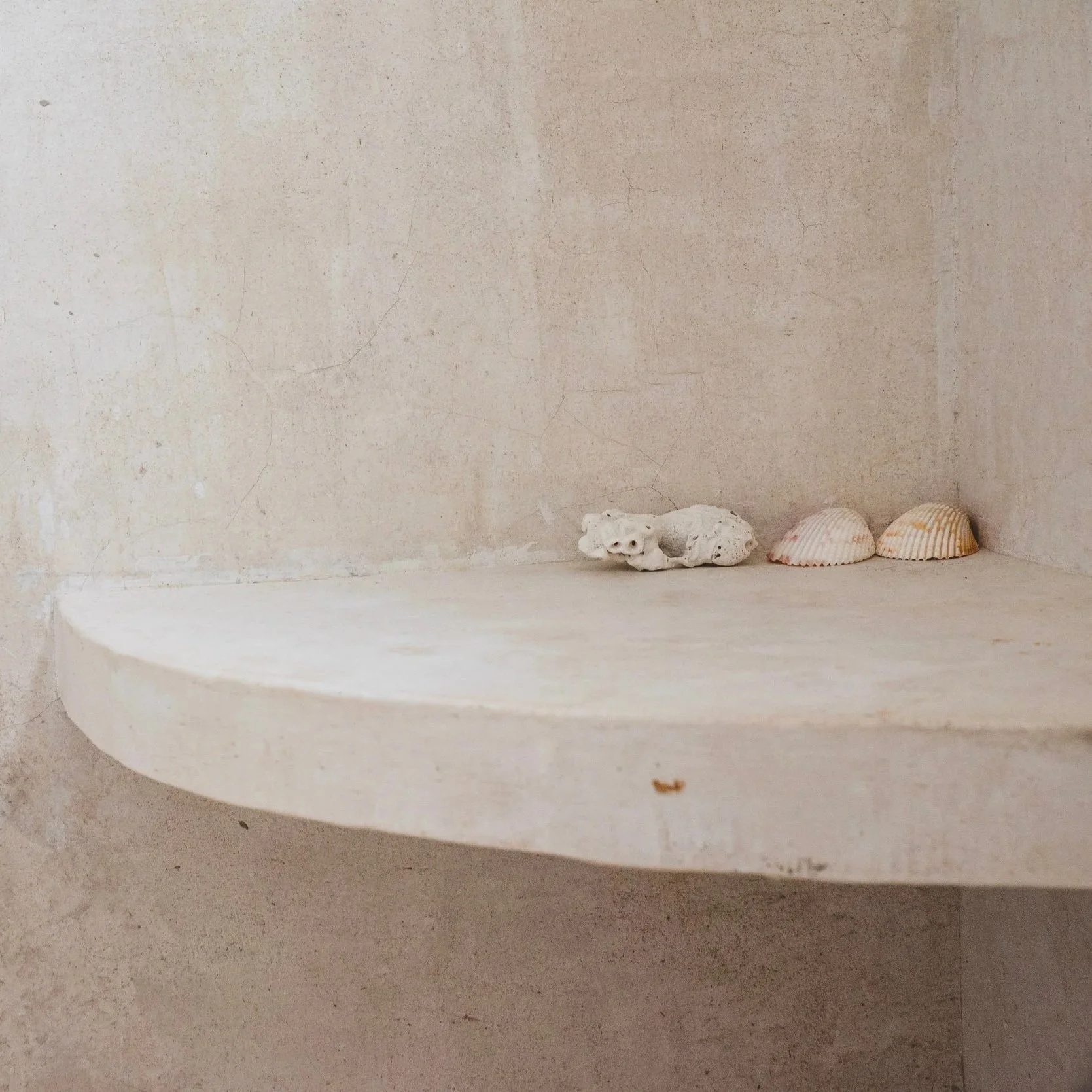 A small white shelf with a rough, textured surface, displaying a white coral and two seashells against a beige, slightly textured wall.