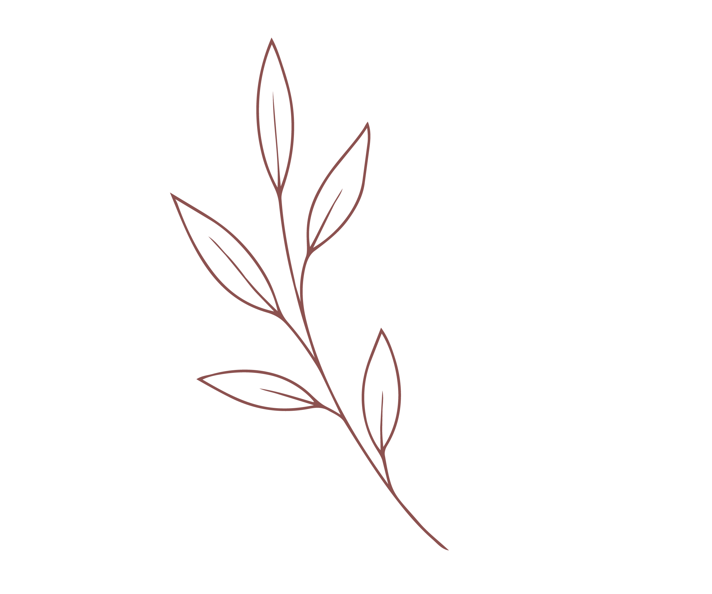 Outline drawing of a plant with elongated leaves on a black background.