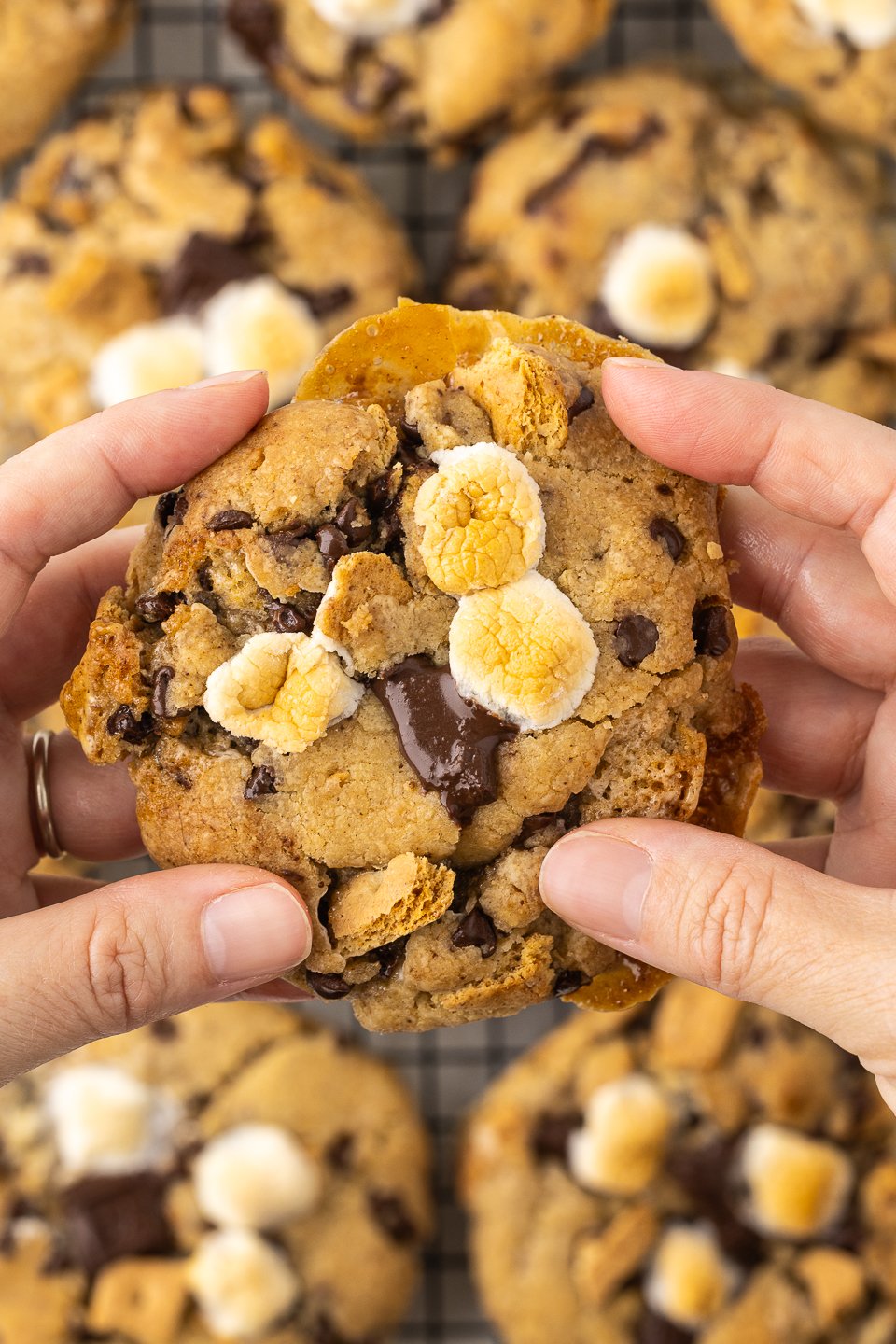 Sourdough Smores Cookies (10 of 16).jpg