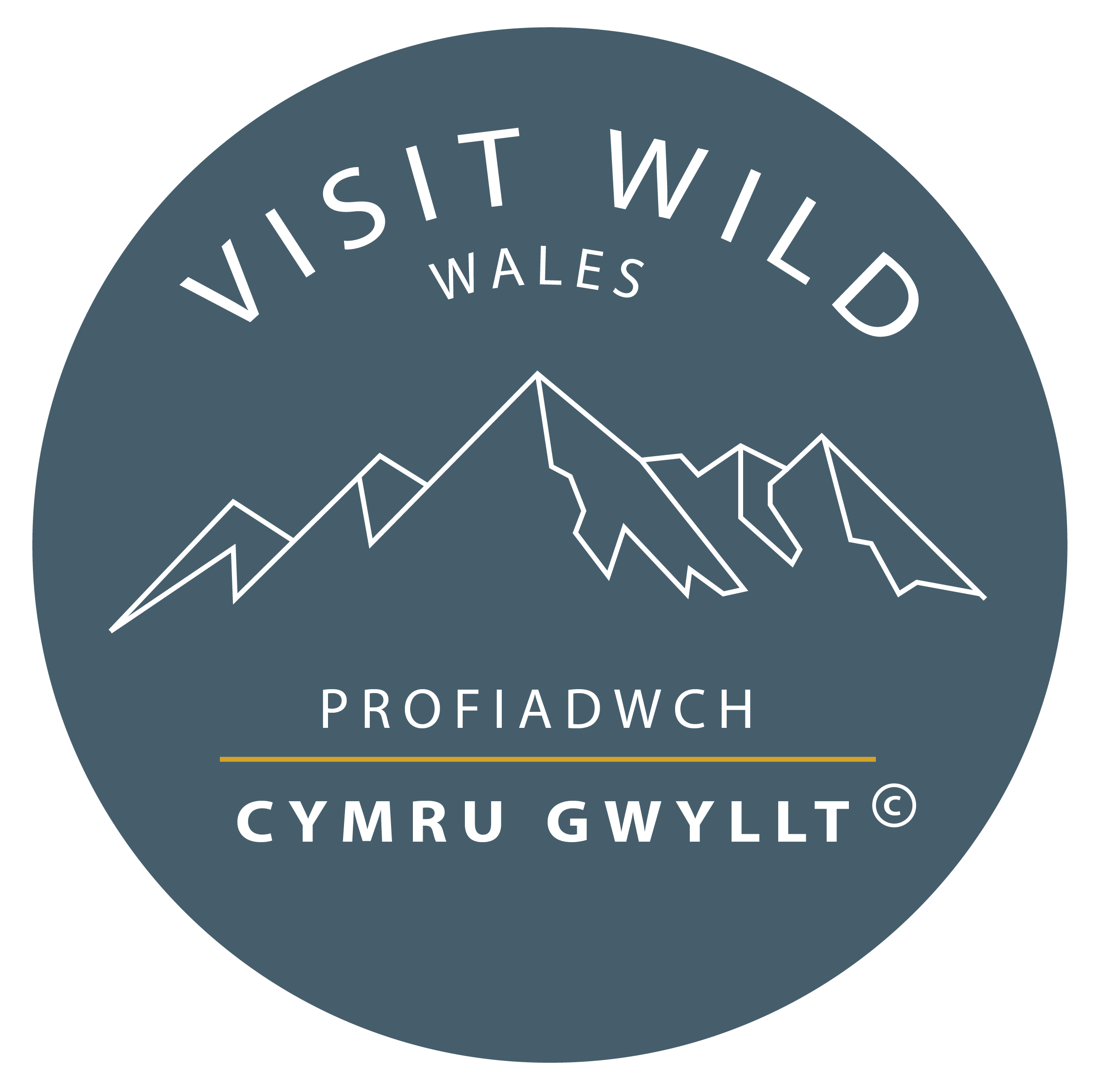 Visit Wild Wales with Emily Coates Logo