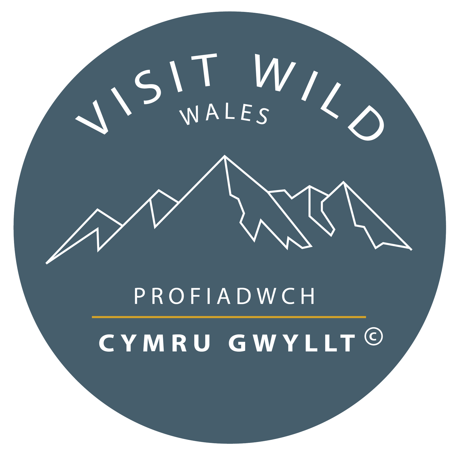 Visit Wild Wales - Emily Coates