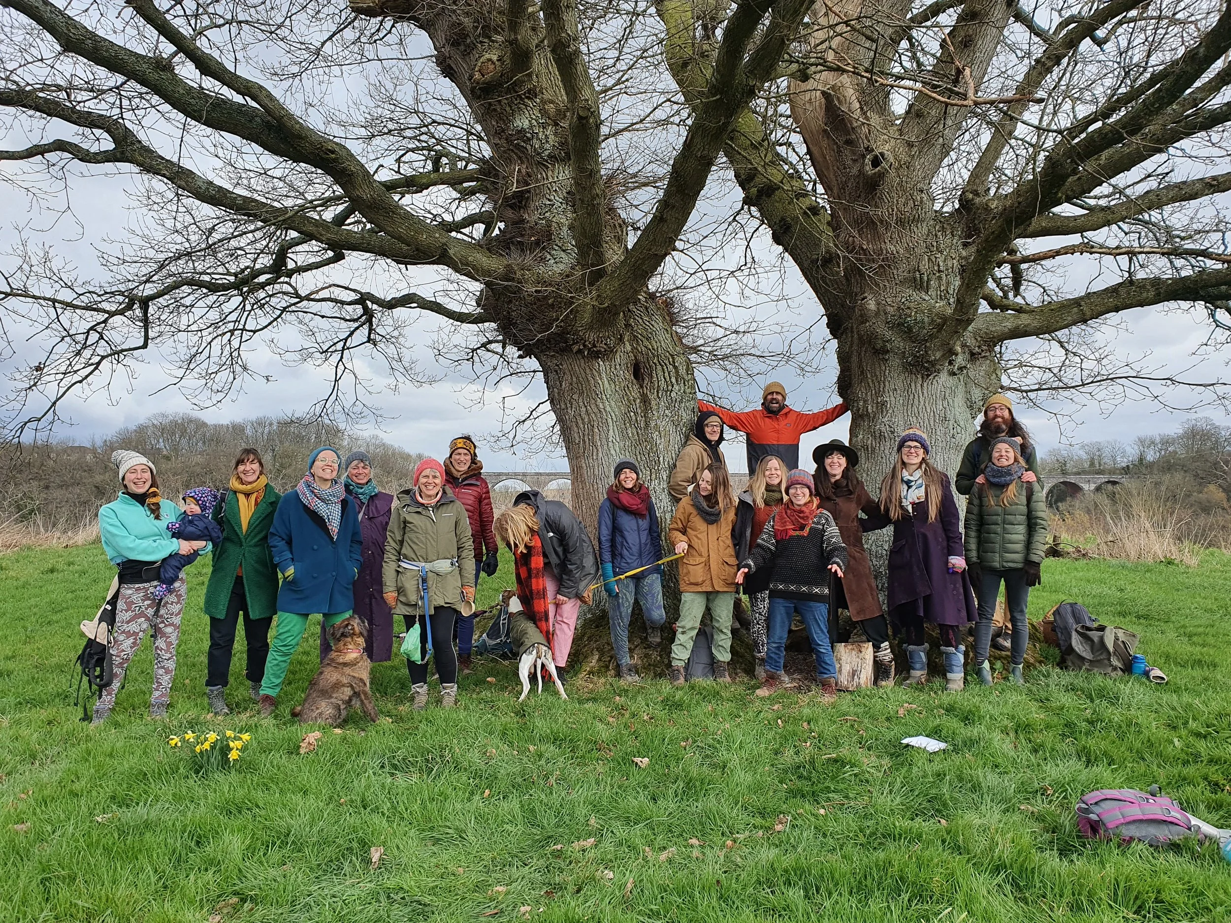 A large group of smiling people, including children and adults, gathered outside in front of a big leafless tree during daytime. They are wearing winter clothing and some have hats and scarves. There are dogs among the group, and a few backpacks and other items on the ground.