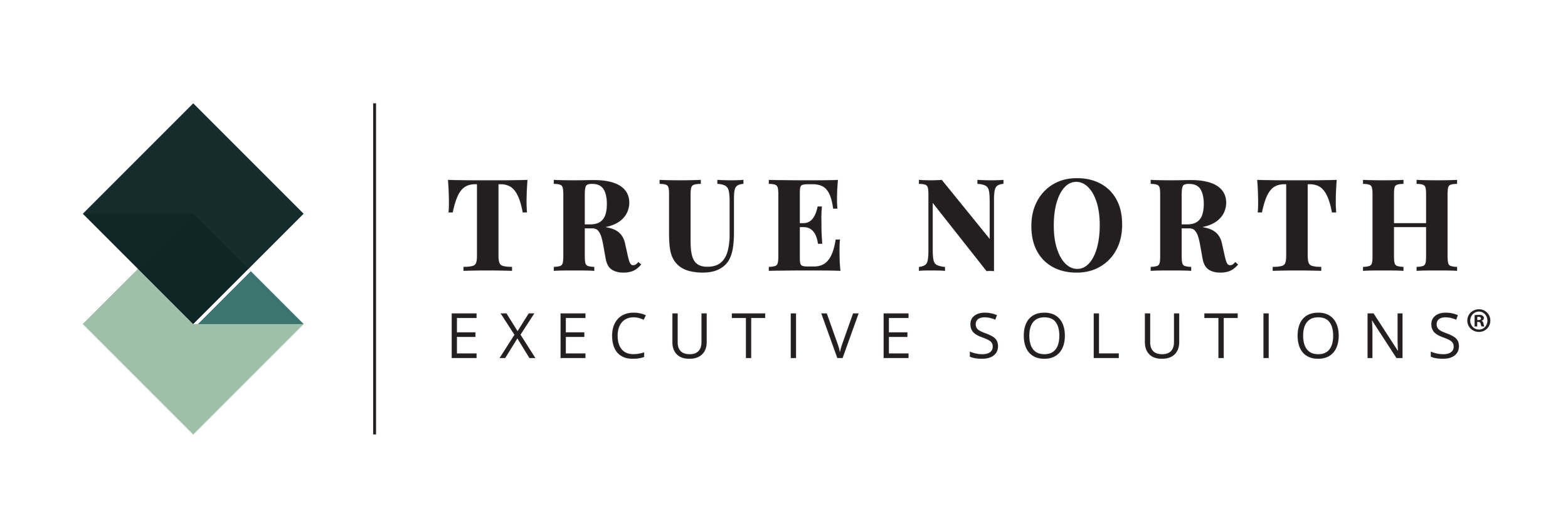 Logo of True North Executive Solutions, a partner of FFTA