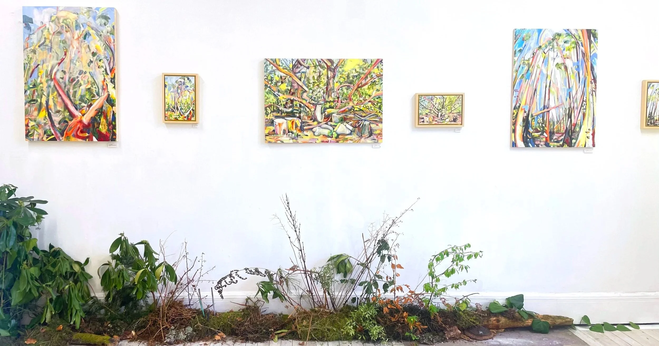 An art gallery wall featuring five colorful landscape paintings, with various green plants and dried branches in the foreground.
