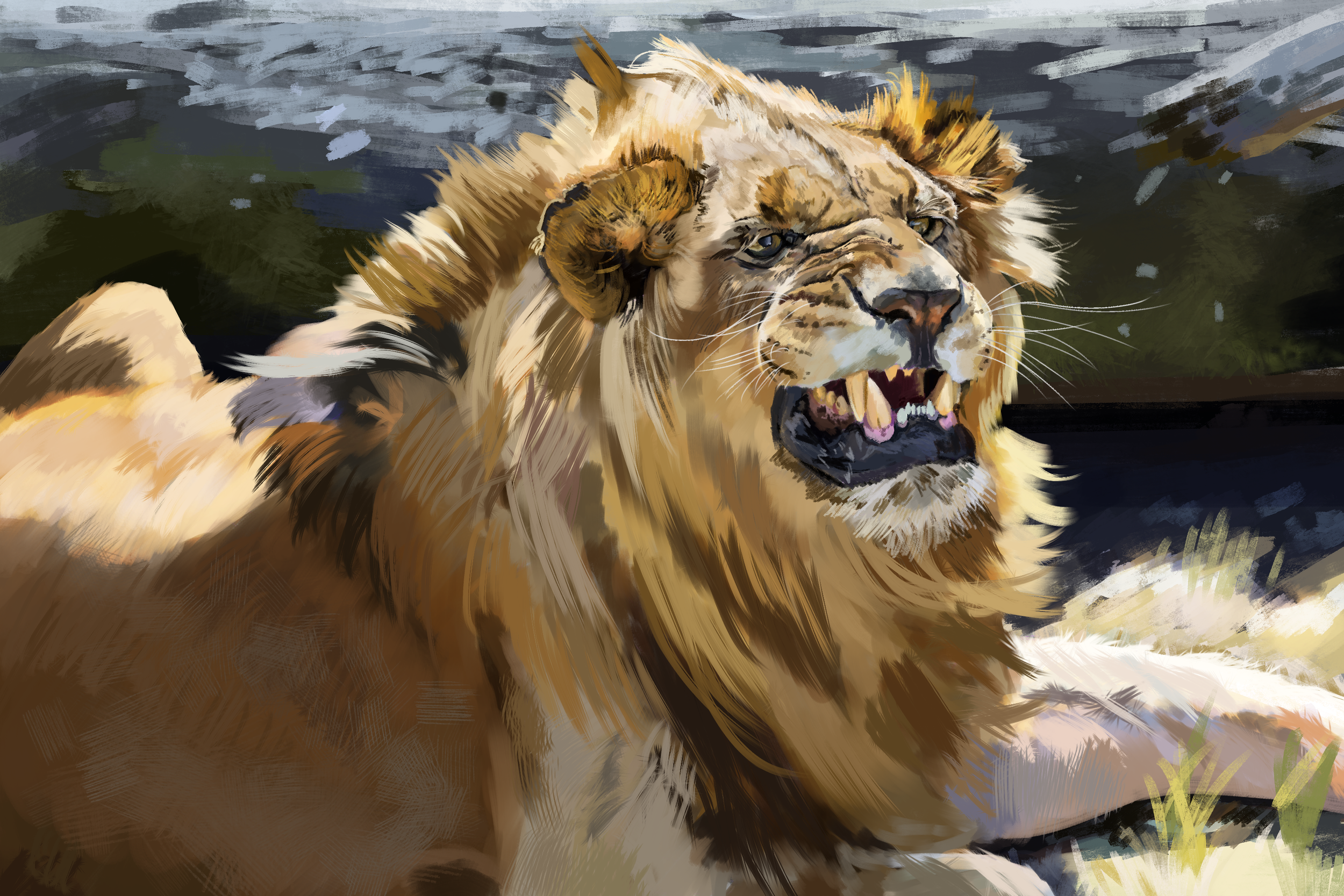 lion portrait.png