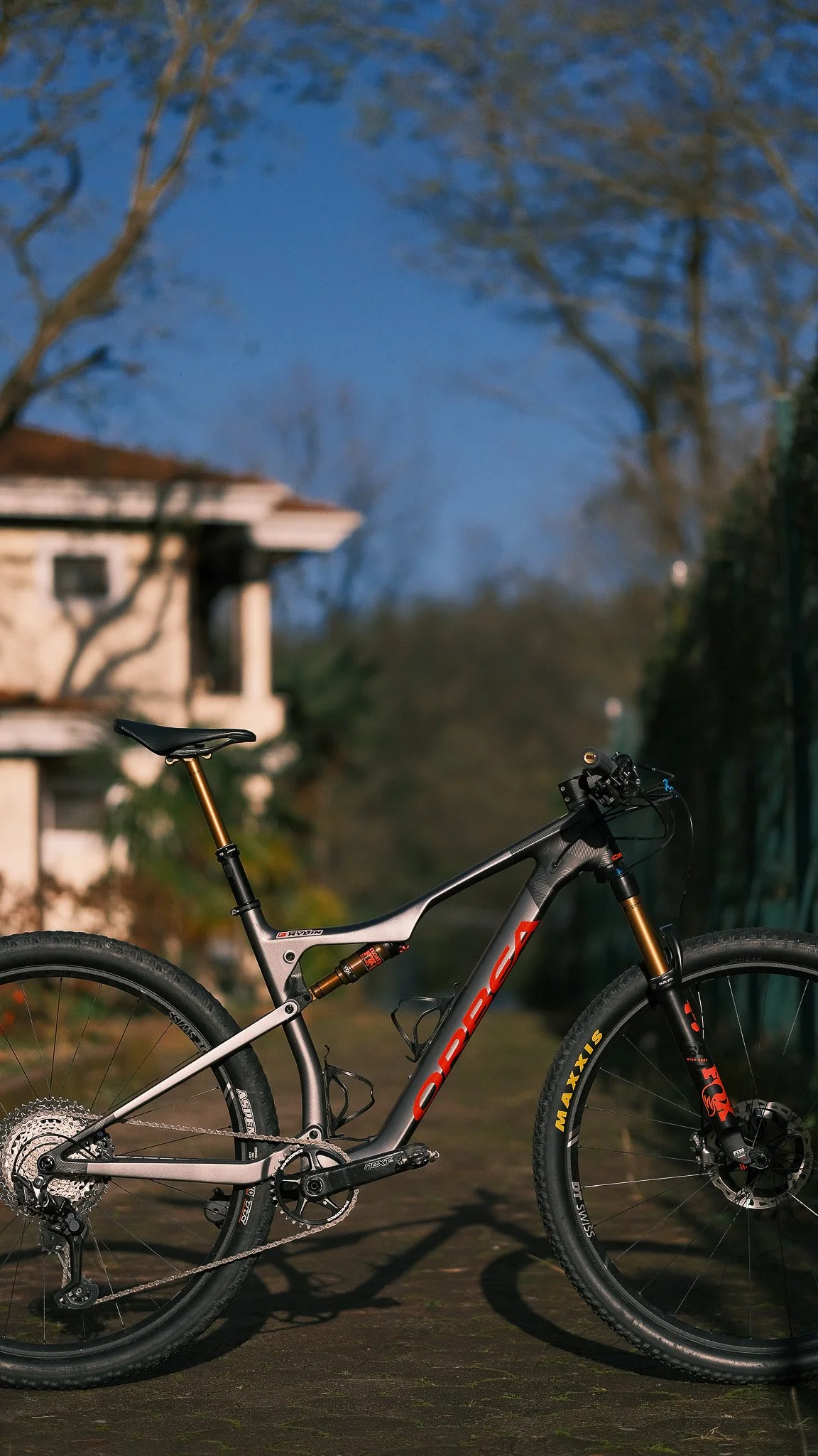 A modern mountain bike with a grey frame and gold accents is parked on a paved surface. It has large, rugged tires and is set against a background of blurred trees and a partly cloudy sky.