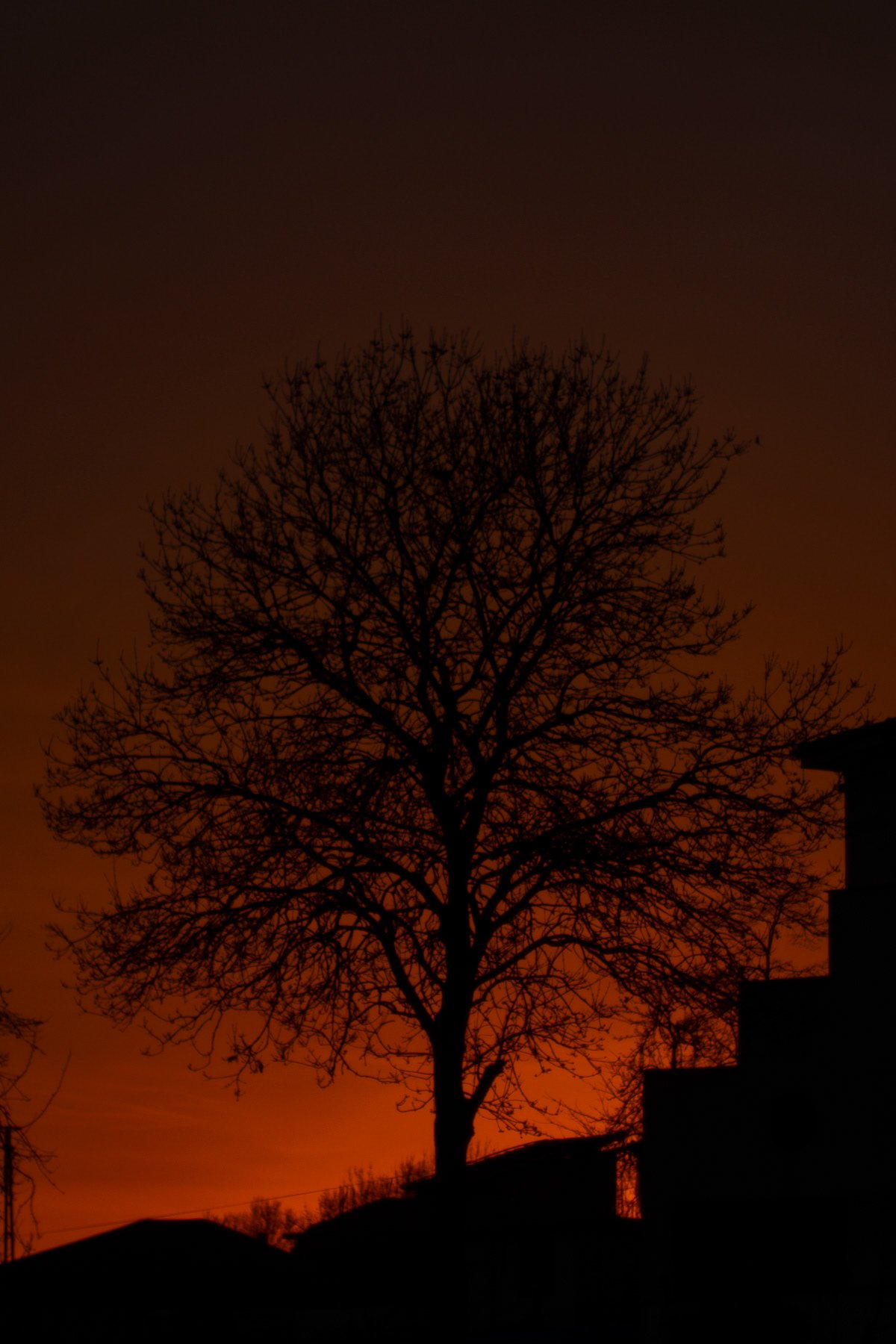 16bc6a26-2970-4678-a965-2d9880ec615f_rw_1200.jpg