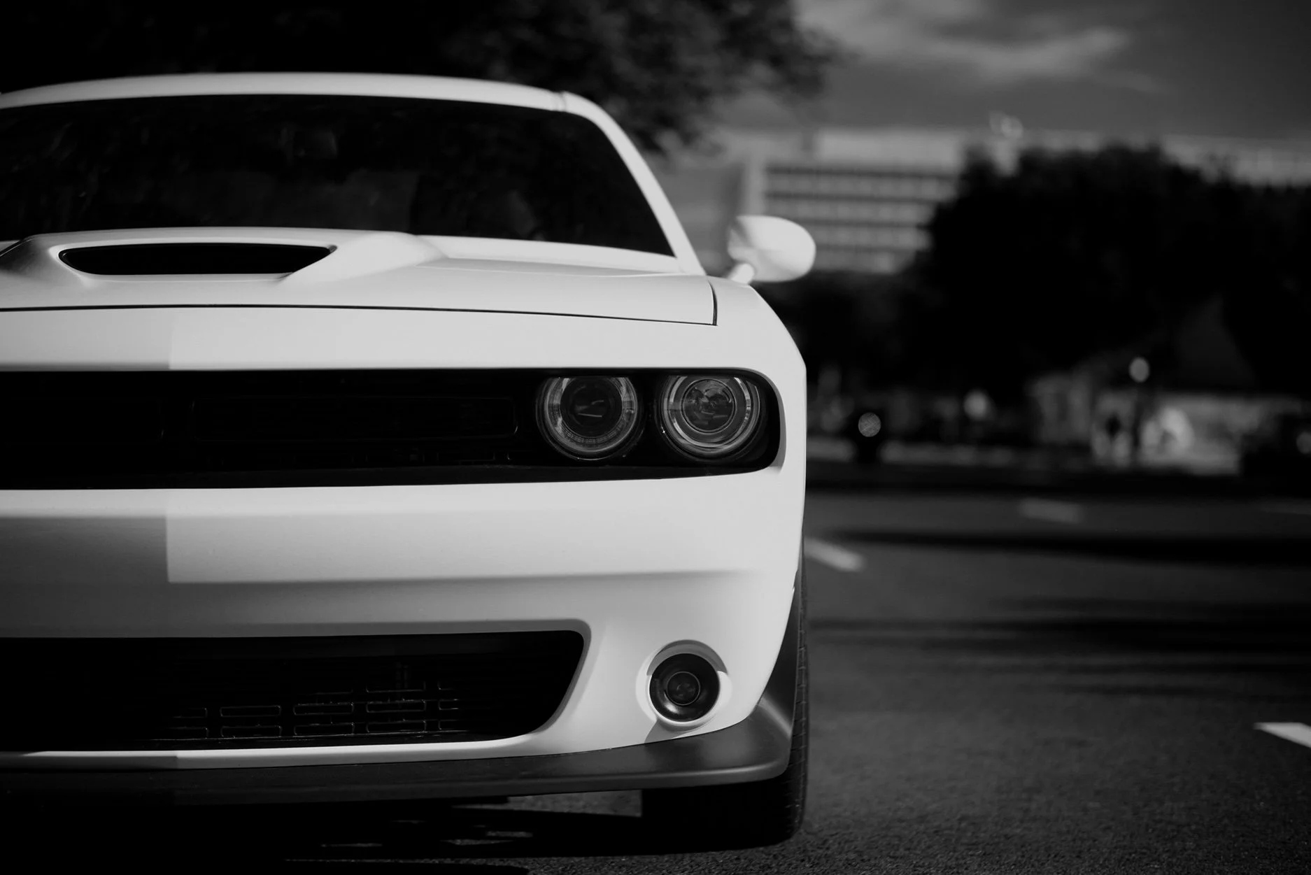 Close-up of the front of a white Dodge Challenger with black racing stripes, headlight, hood scoop, and front bumper visible, set in a parking lot.