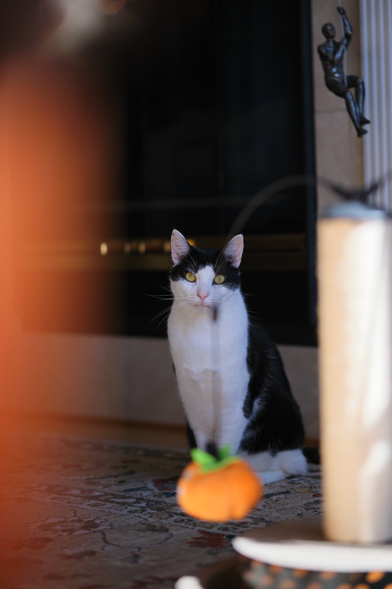 A black and white cat sitting on a patterned carpet, looking at a small orange toy carrot in front of it, with furniture and a sculpture in the background.