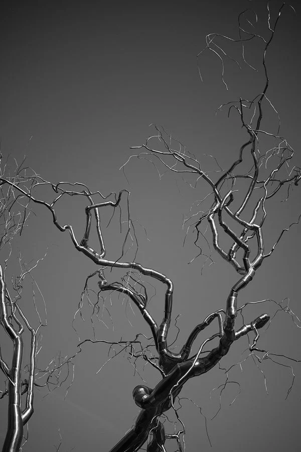 01736111-f0f1-4765-81e0-57dd6f5d5fdd_rw_600.jpg