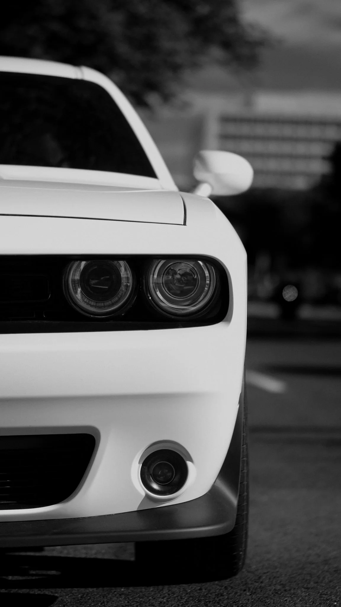 Close-up of the front of a white car, focusing on the headlights and part of the wheel, in black and white.