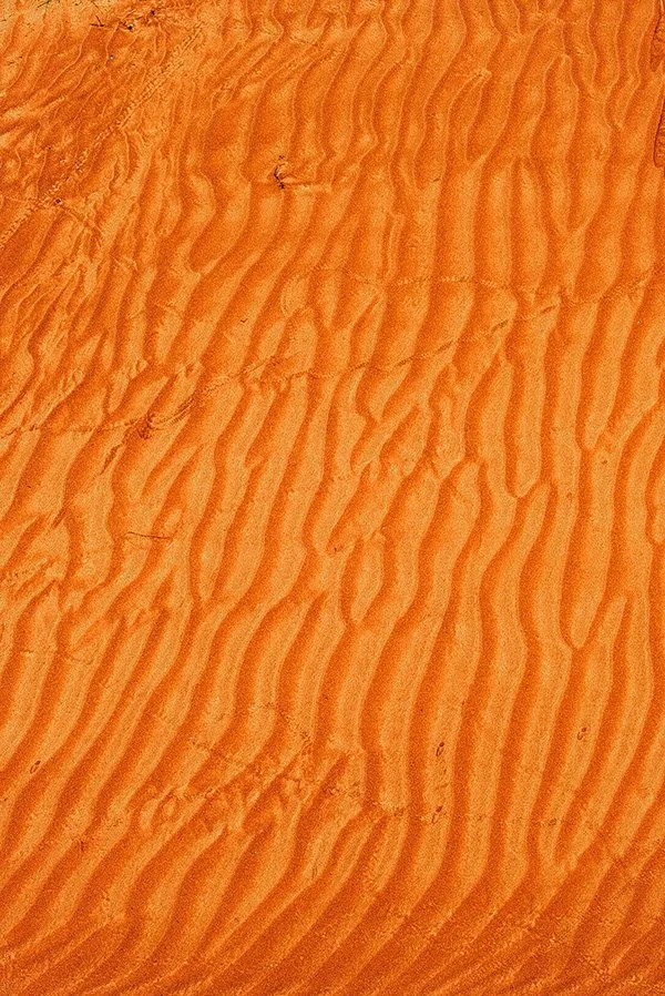 e0d4335e-ad3a-4682-b25d-3ec5f4a86270_rw_600.jpg