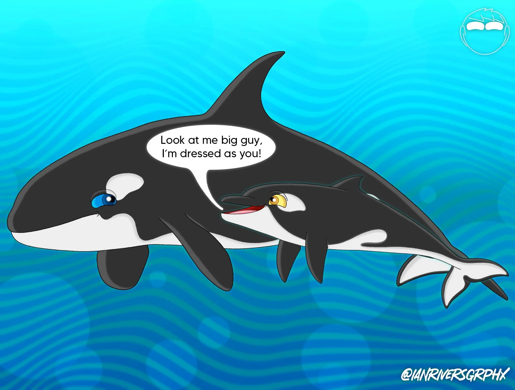 A bottlenose dolphin dressed as a killer whale