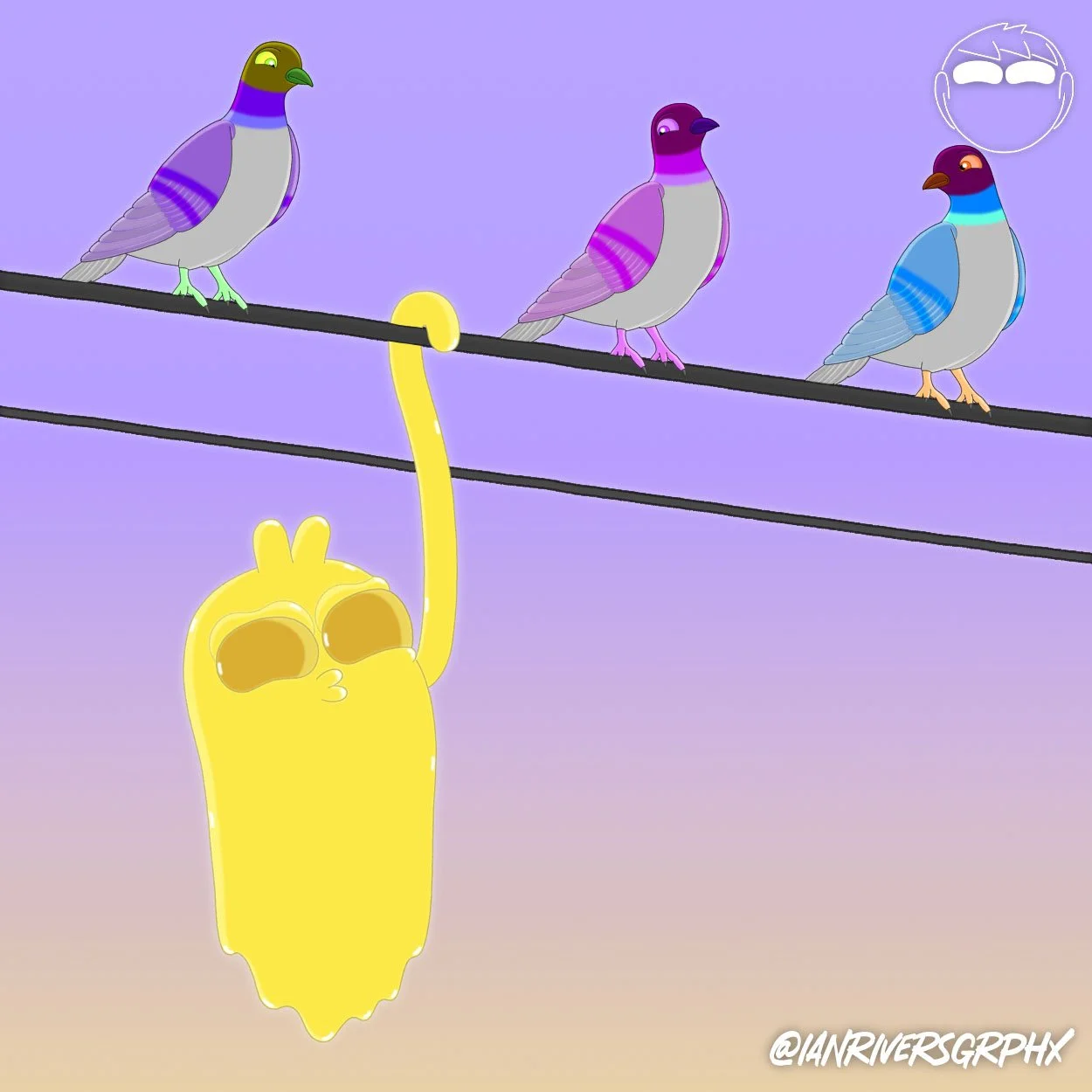 On The Wire with pigeons