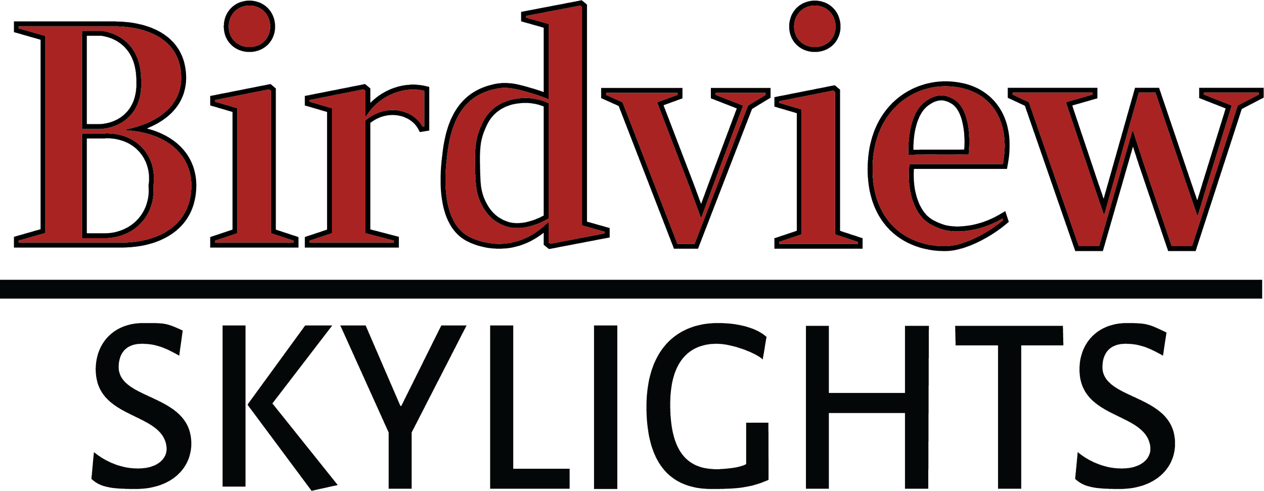 Bold text reading 'Birdview SKYLIGHTS' with 'Birdview' in red and larger font, and 'SKYLIGHTS' below in black, on a black background.
