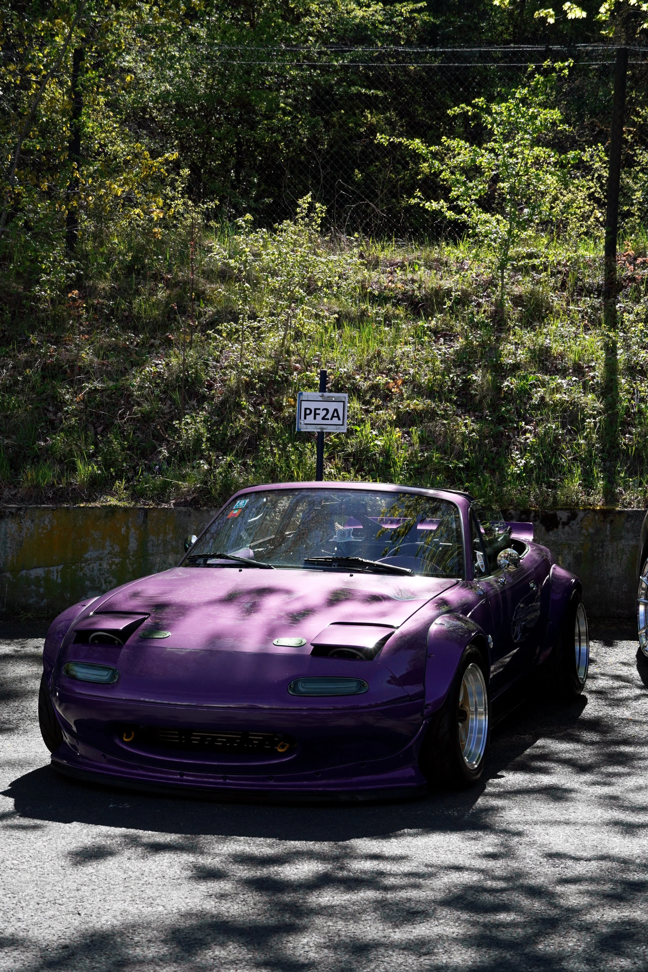 DSC00622.jpg