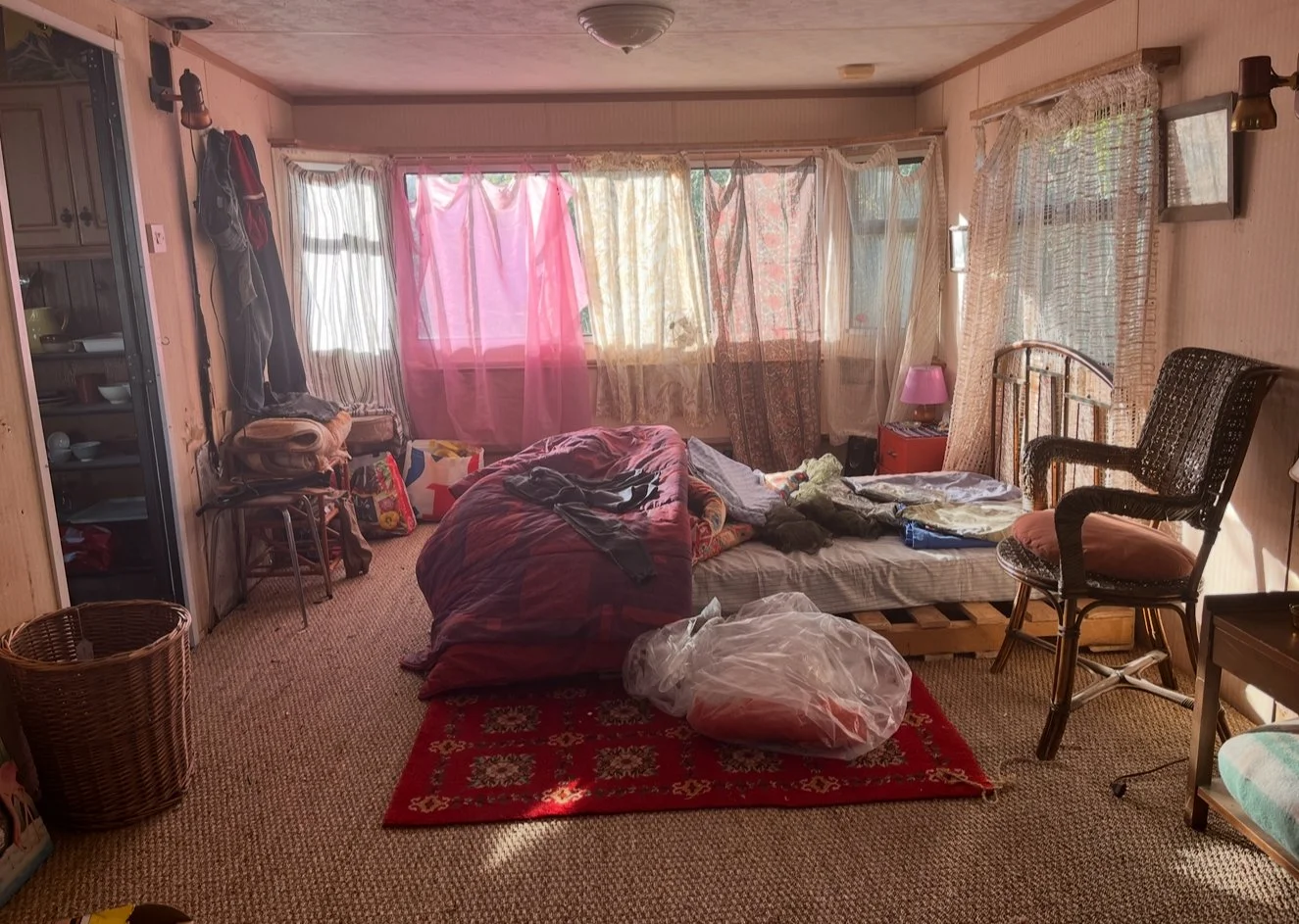 IMG_3368.jpeg