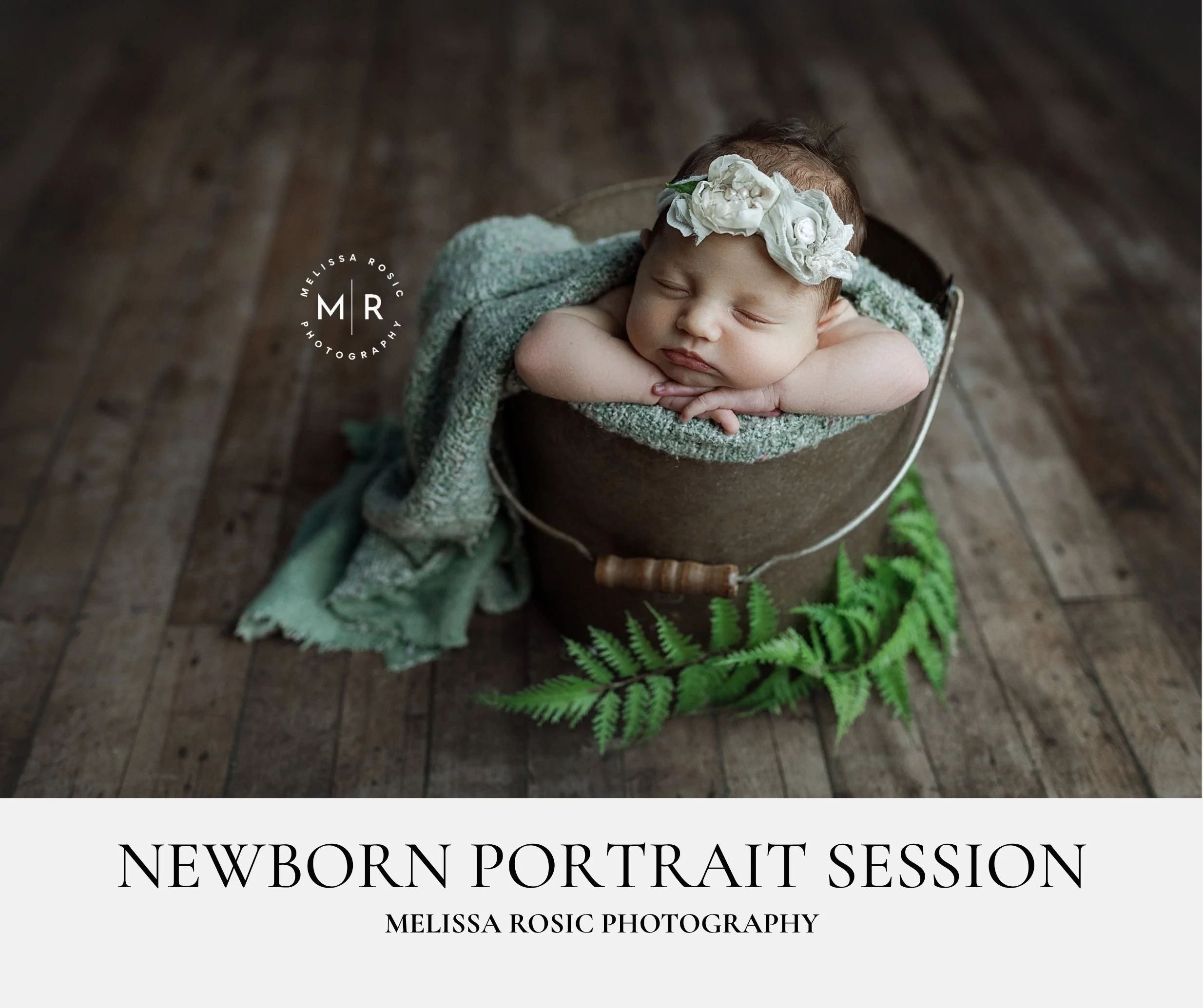 newborn portrait session.jpg