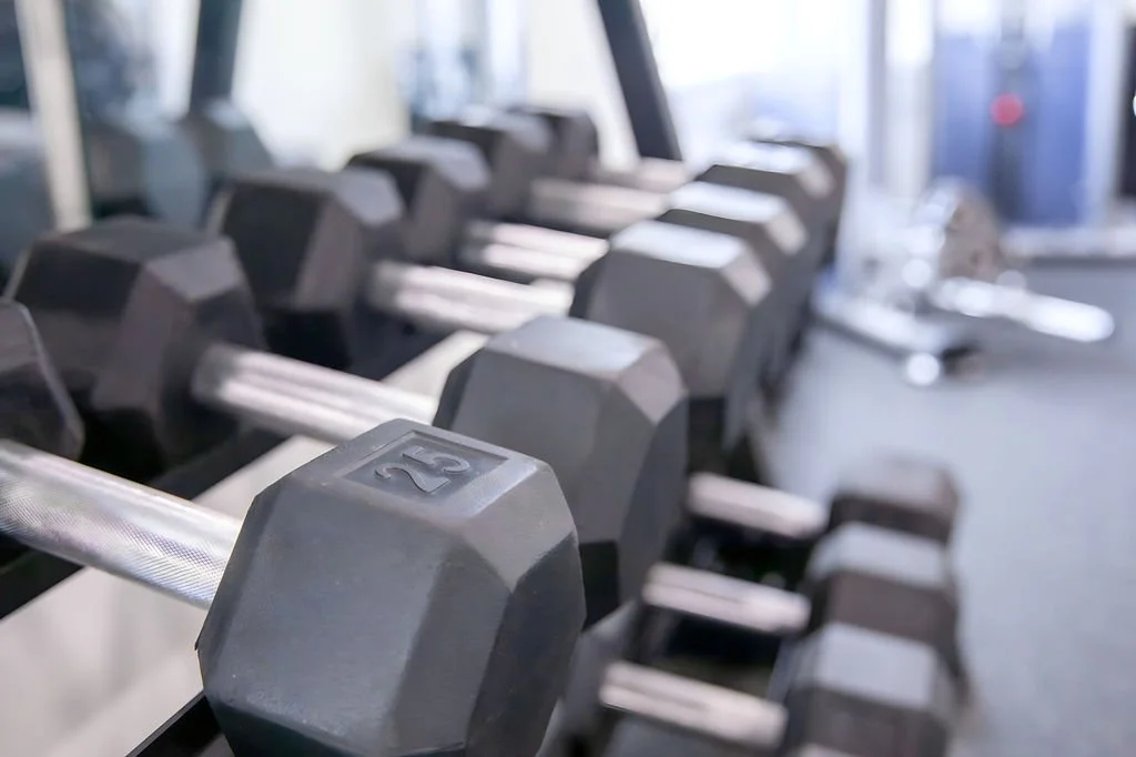 A row of black dumbbells on a rack in a gym.