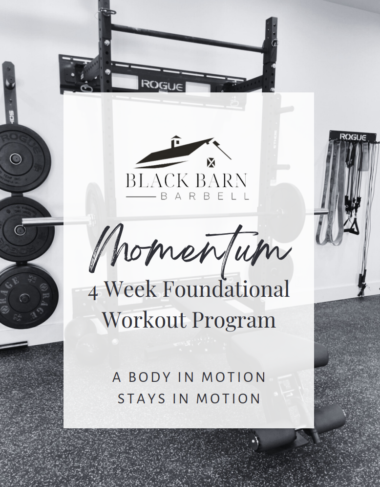 Daily Momentum Kickstarter Plan