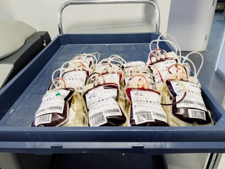 El Banco de Sangre de Aragón exporta su sistema de gestión por su innovación y eficiencia.
18 de noviembre de 2024.