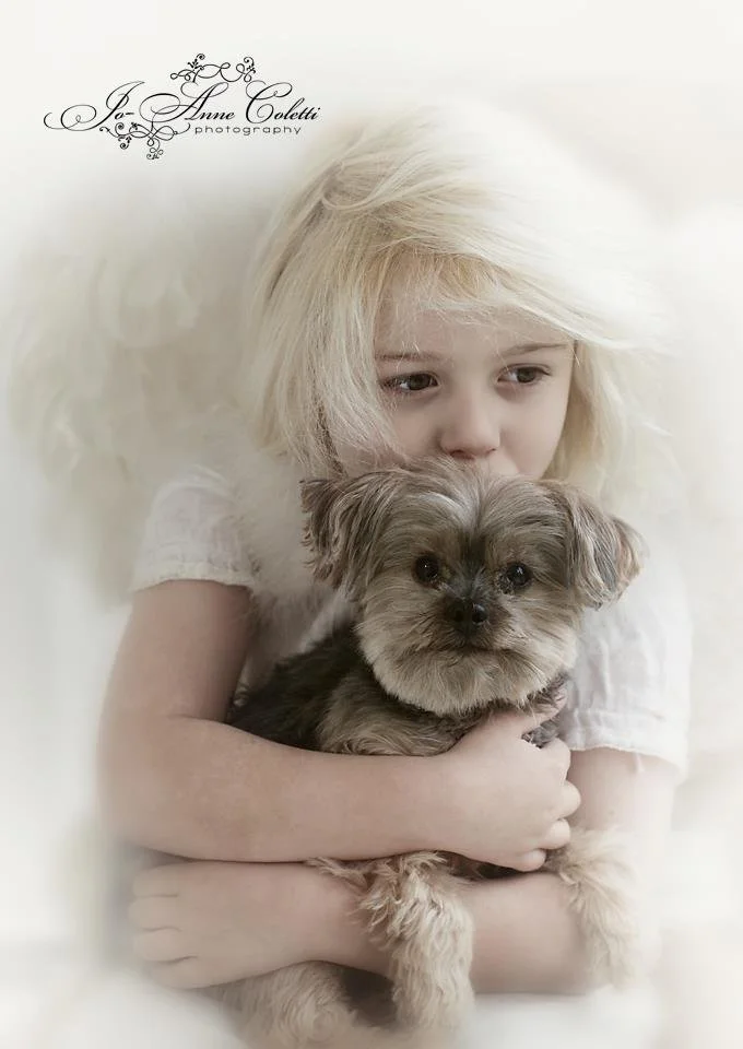 A young girl with blonde hair holding a small gray and tan dog, both looking at the camera. The background is softly blurred.