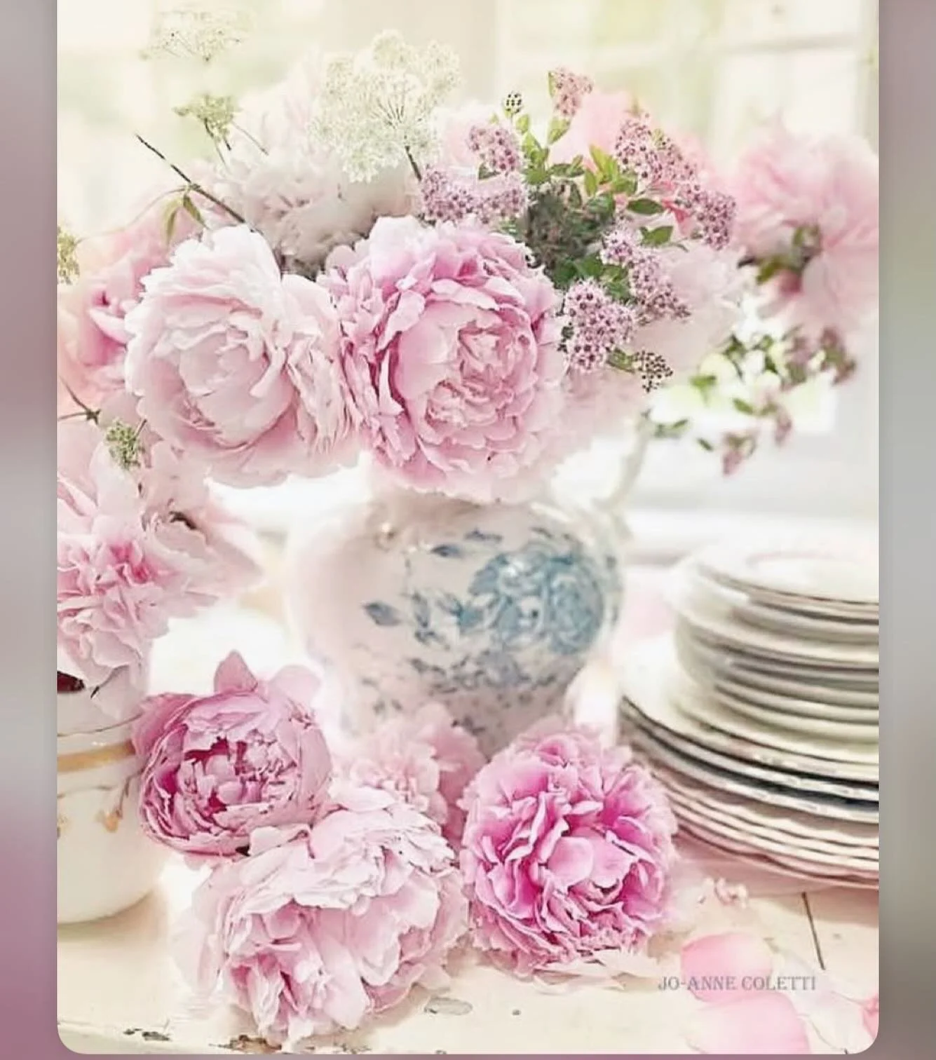 Big, fluffy, unapologetically beautiful flowers reminding me to stop and appreciate what&rsquo;s right in front of me.
#peony 
#blooms 
#garden 
#houseandgarden 
#peonies