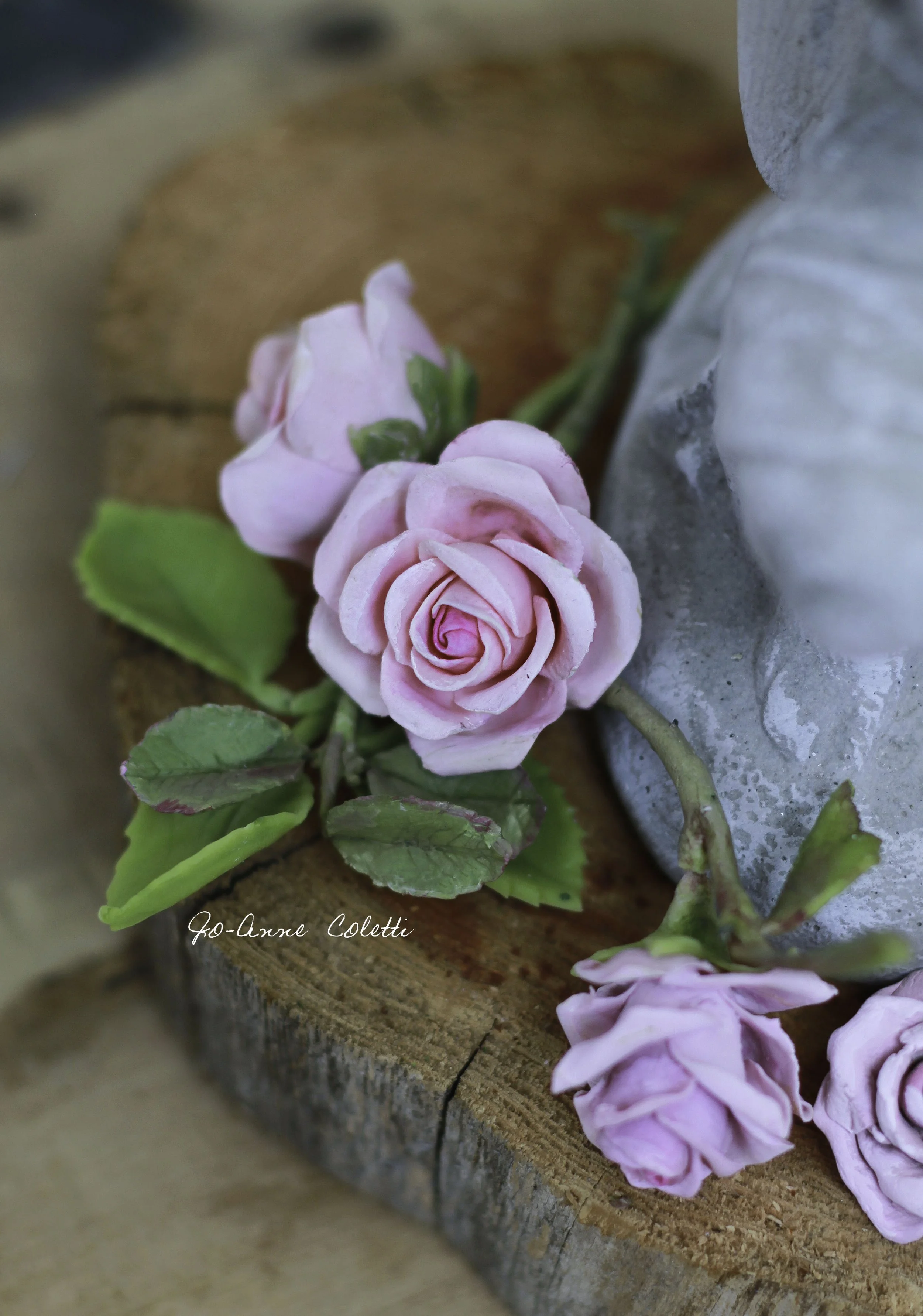 roses sm23.jpg