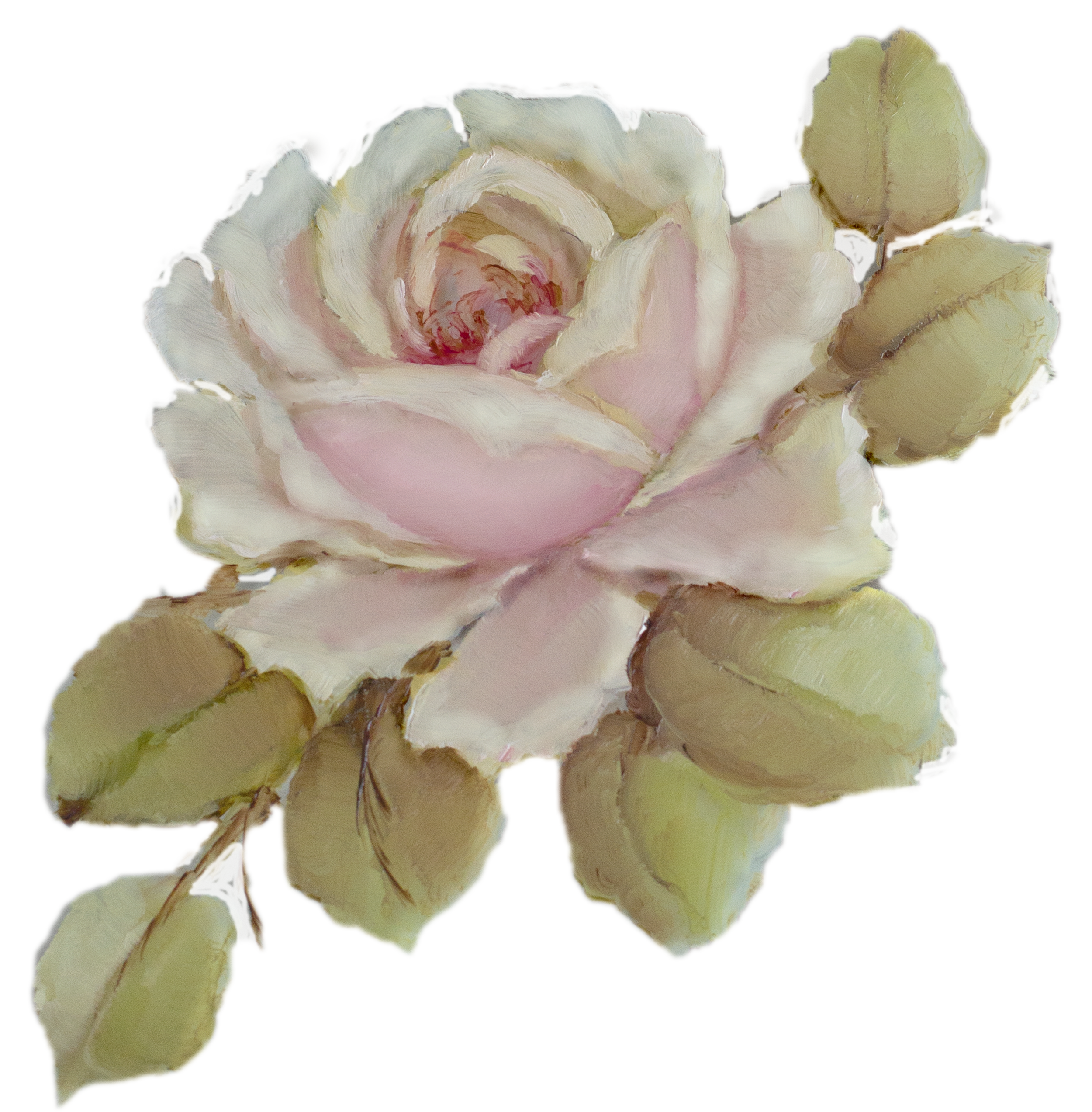 rose graphic new12.png