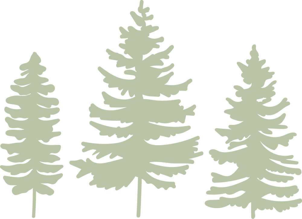 Illustration of three stylized pine trees in green on a black background.