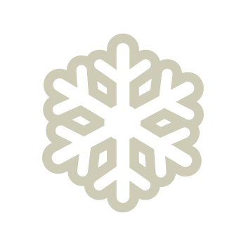 A white snowflake icon on a circular background.
