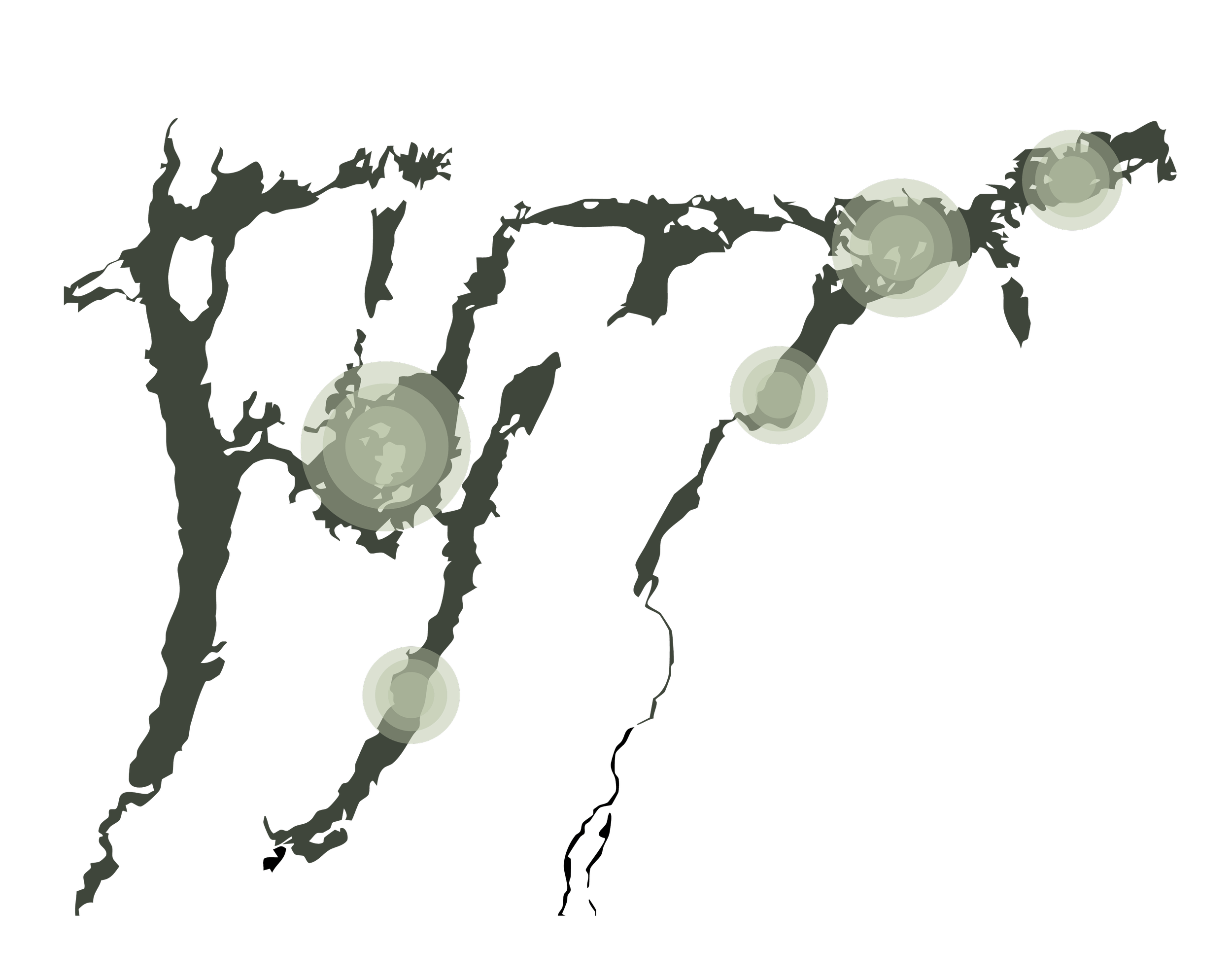 A stylized map of the world with circular, greenish icons highlighting specific locations.