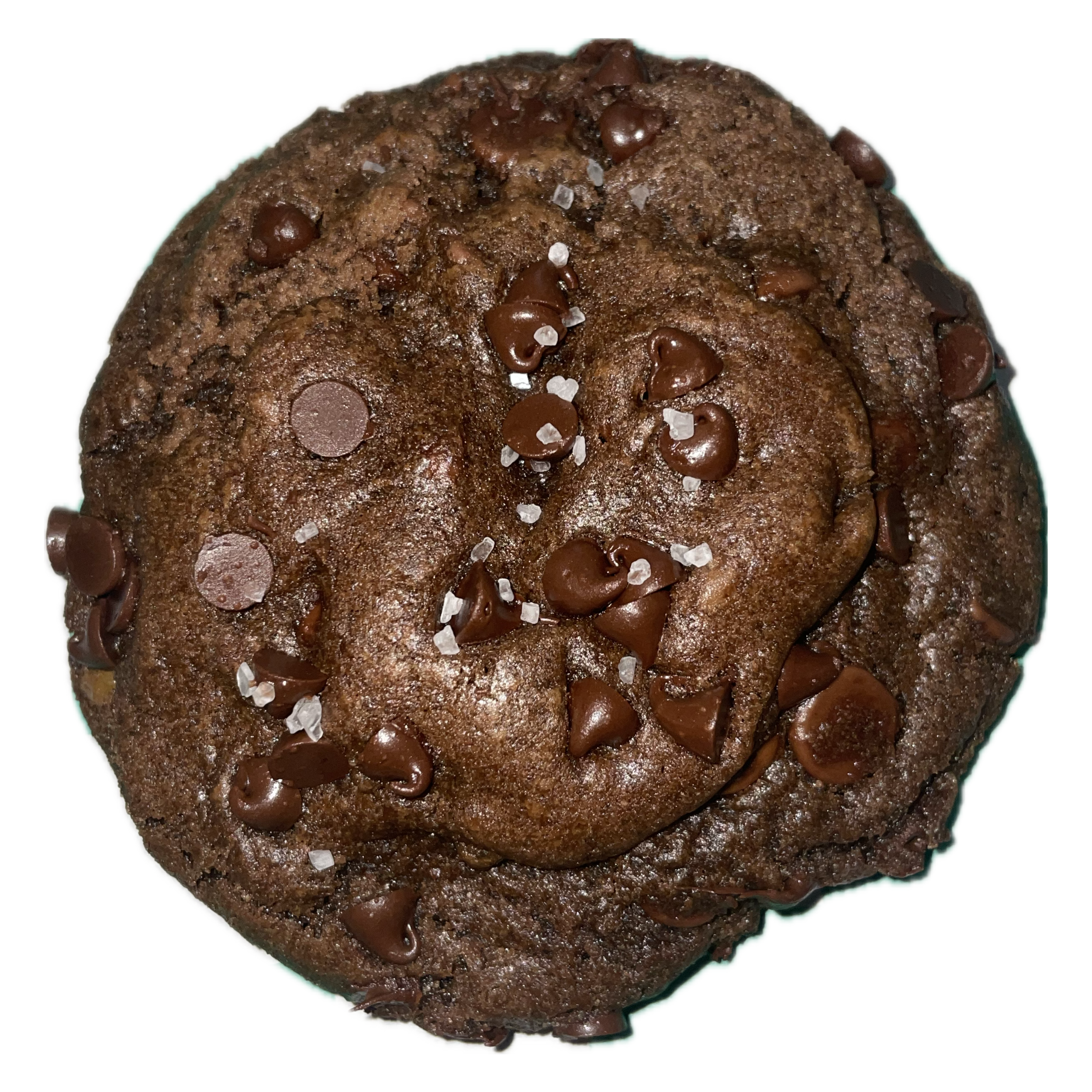 Untitled design 2.png