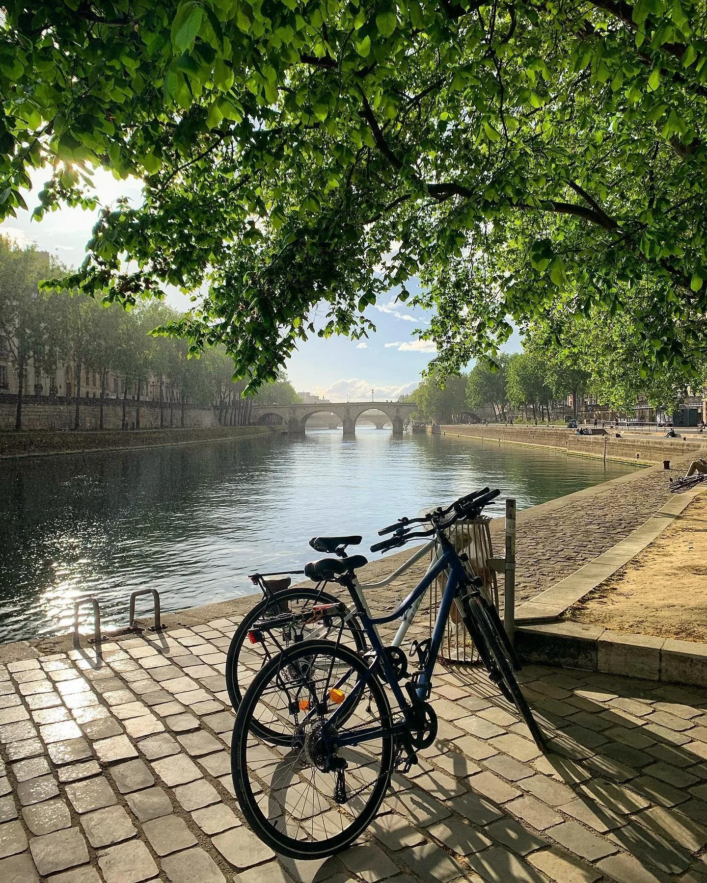 paris-seine-pont-neuf-bike-ride.jpeg