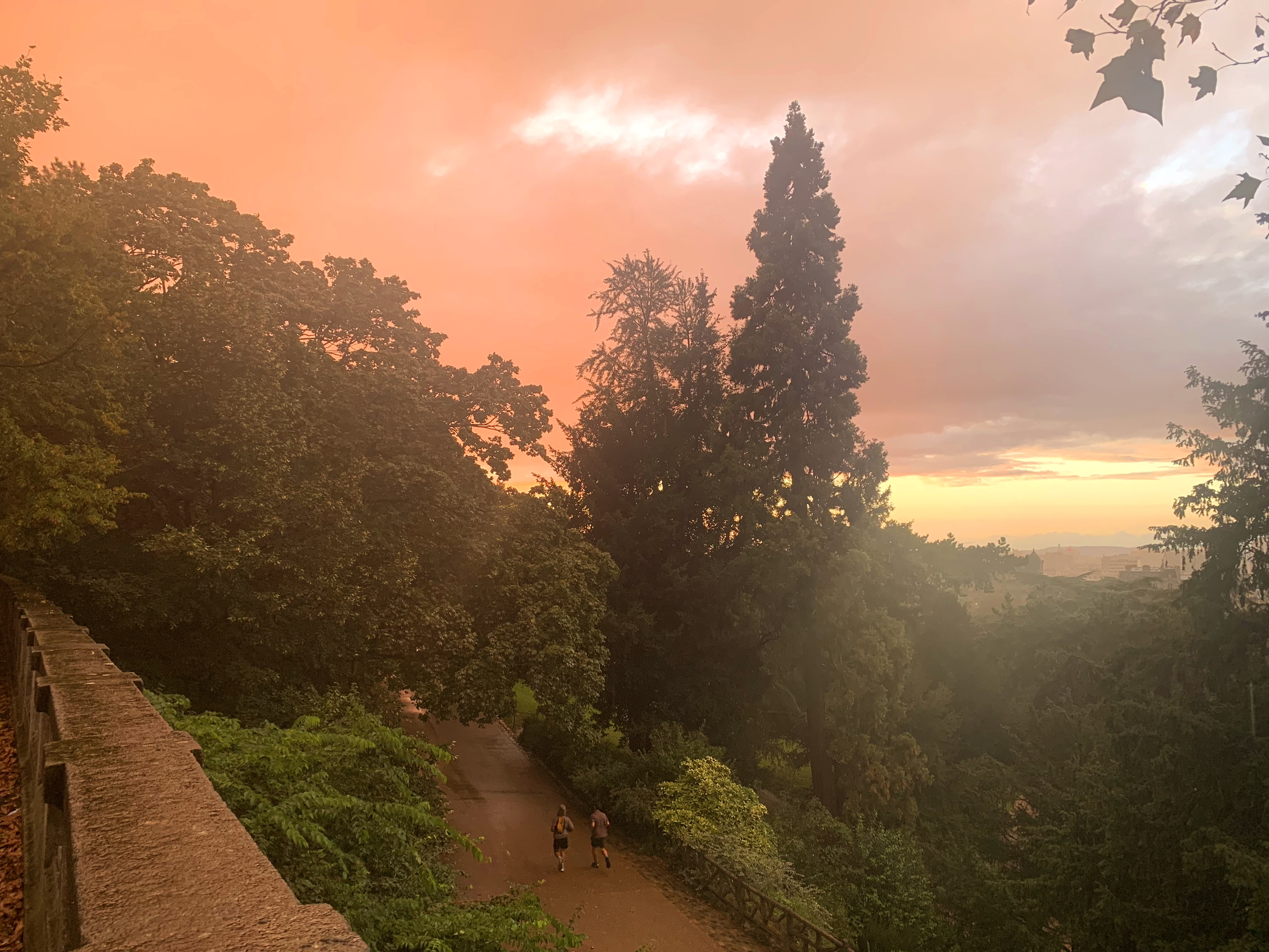 parc-des-butess-chaumont-sunset.png