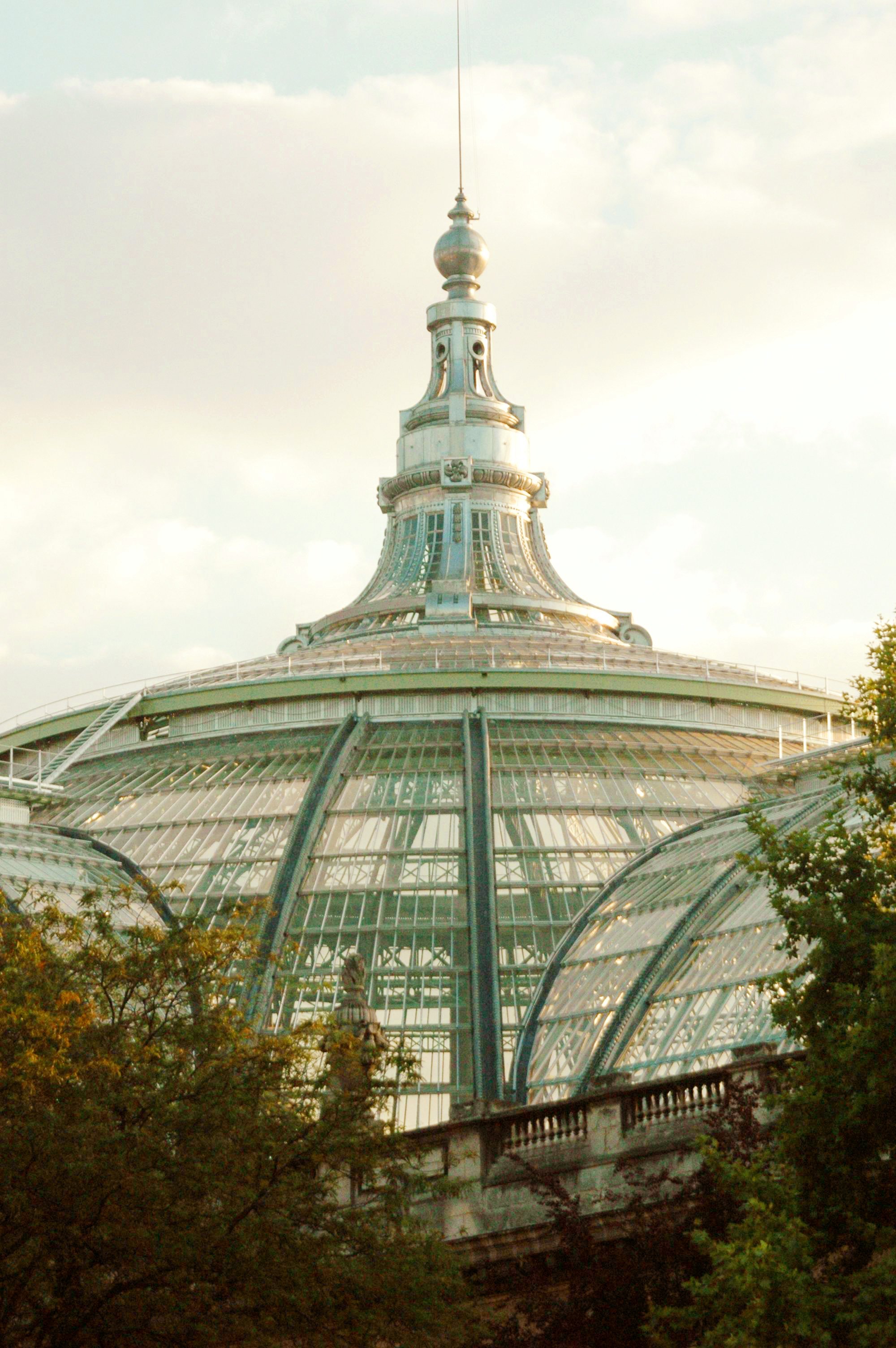 grand-palais-paris.jpg