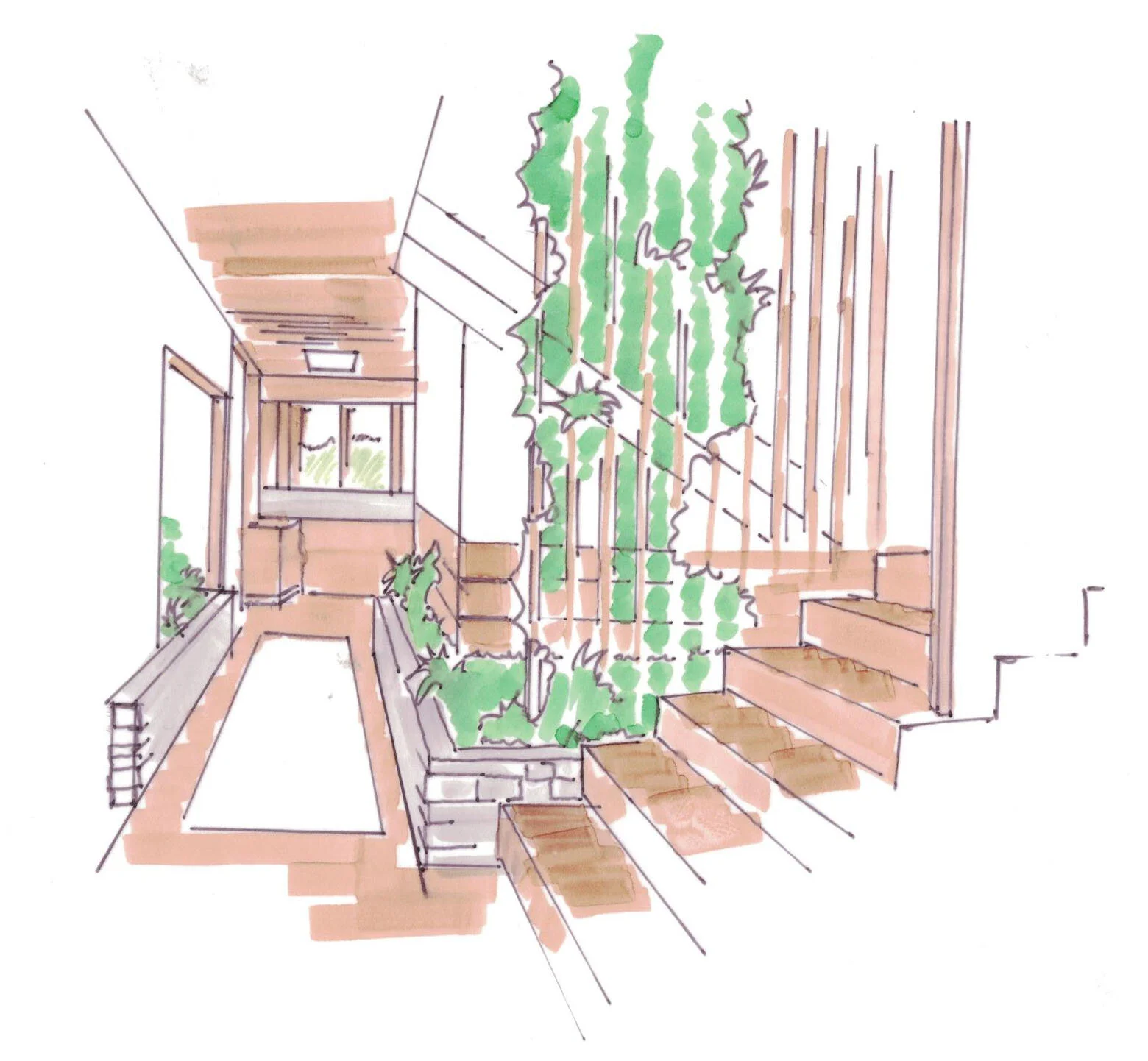 Stair Vine Trellis Interior Sketch