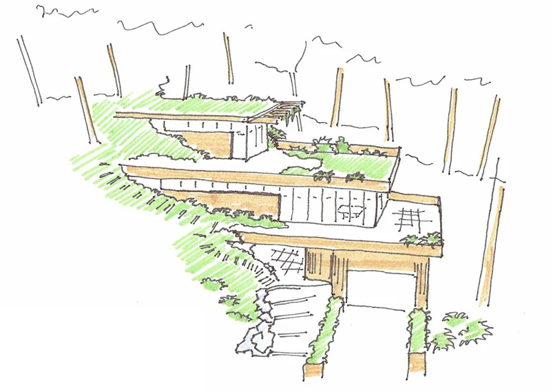 Mercer Island Terraced House Green Roofs