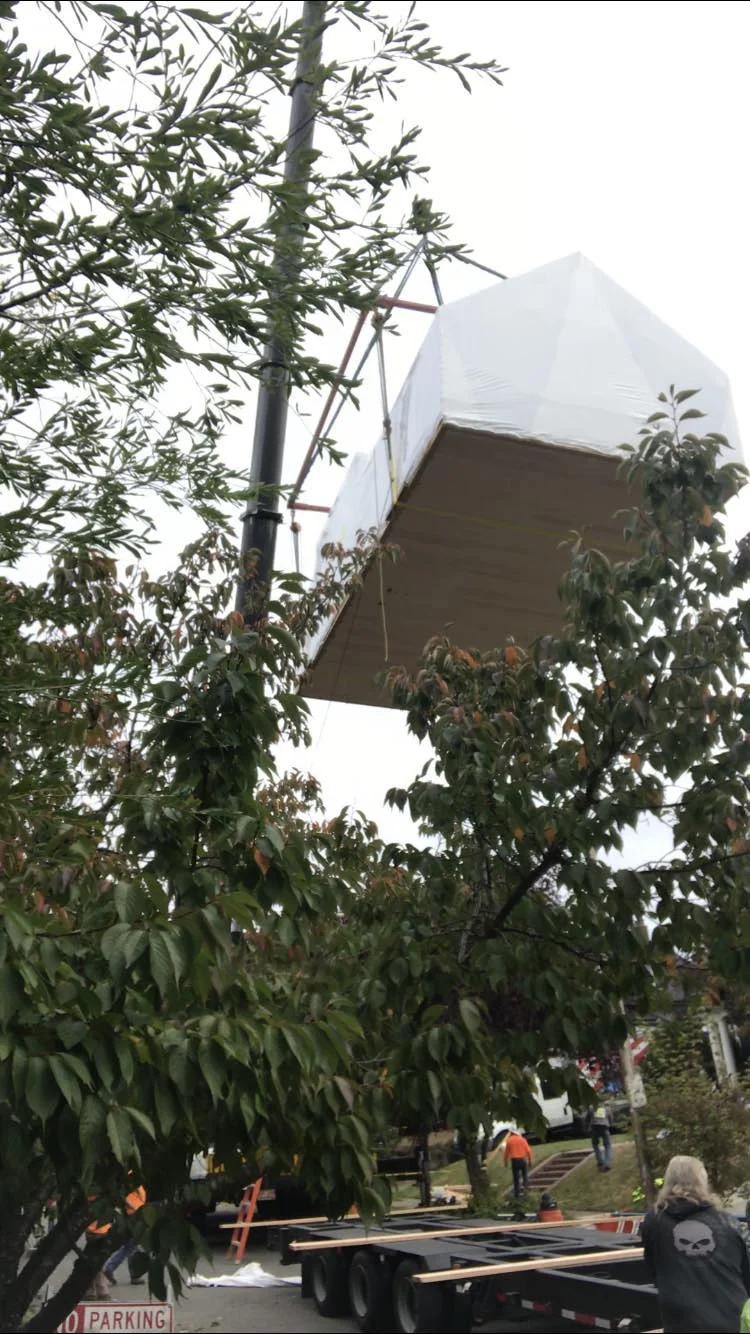 Modular House Crane Setting