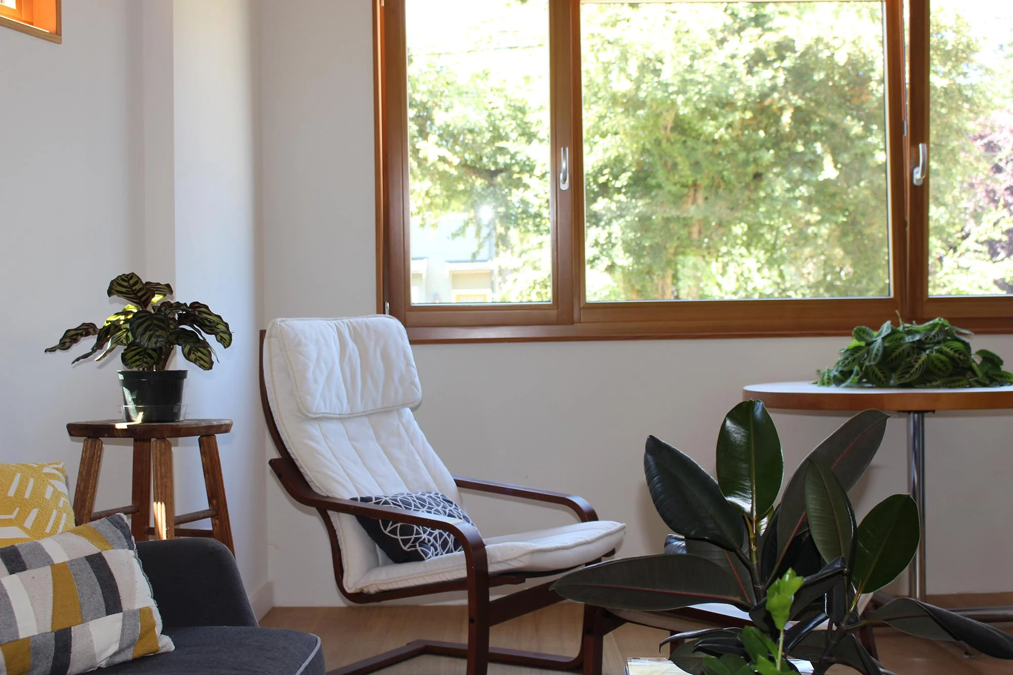 Passive House European Wood Windows