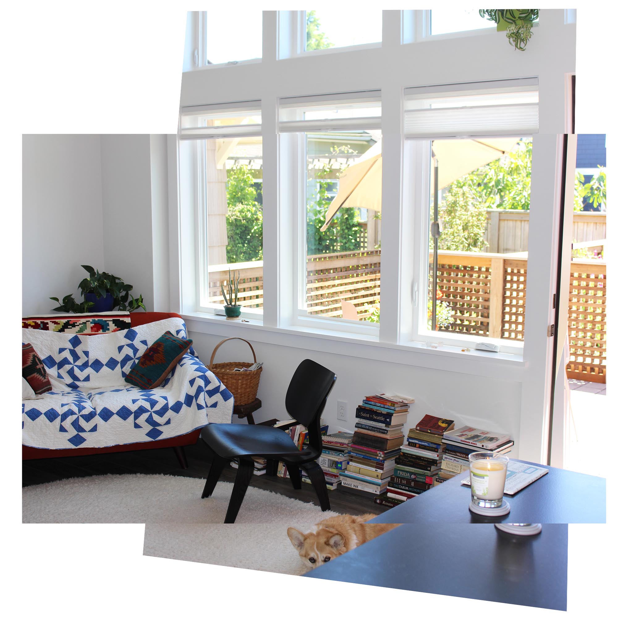 Interior South-Facing Windows Passive House