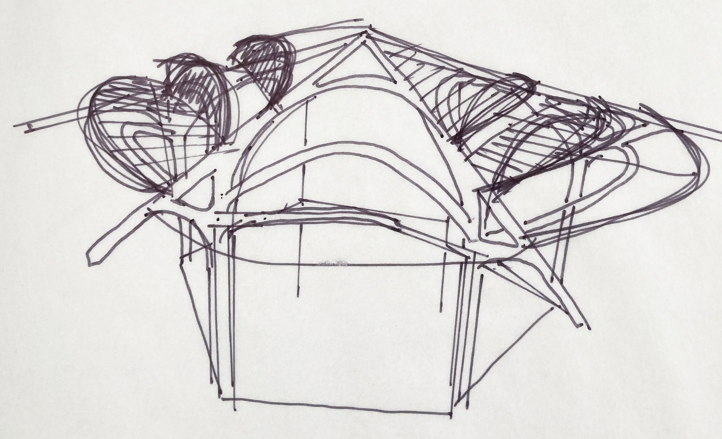 A hand-drawn sketch of a roof viewed from above, with structural details and design elements outlined.
