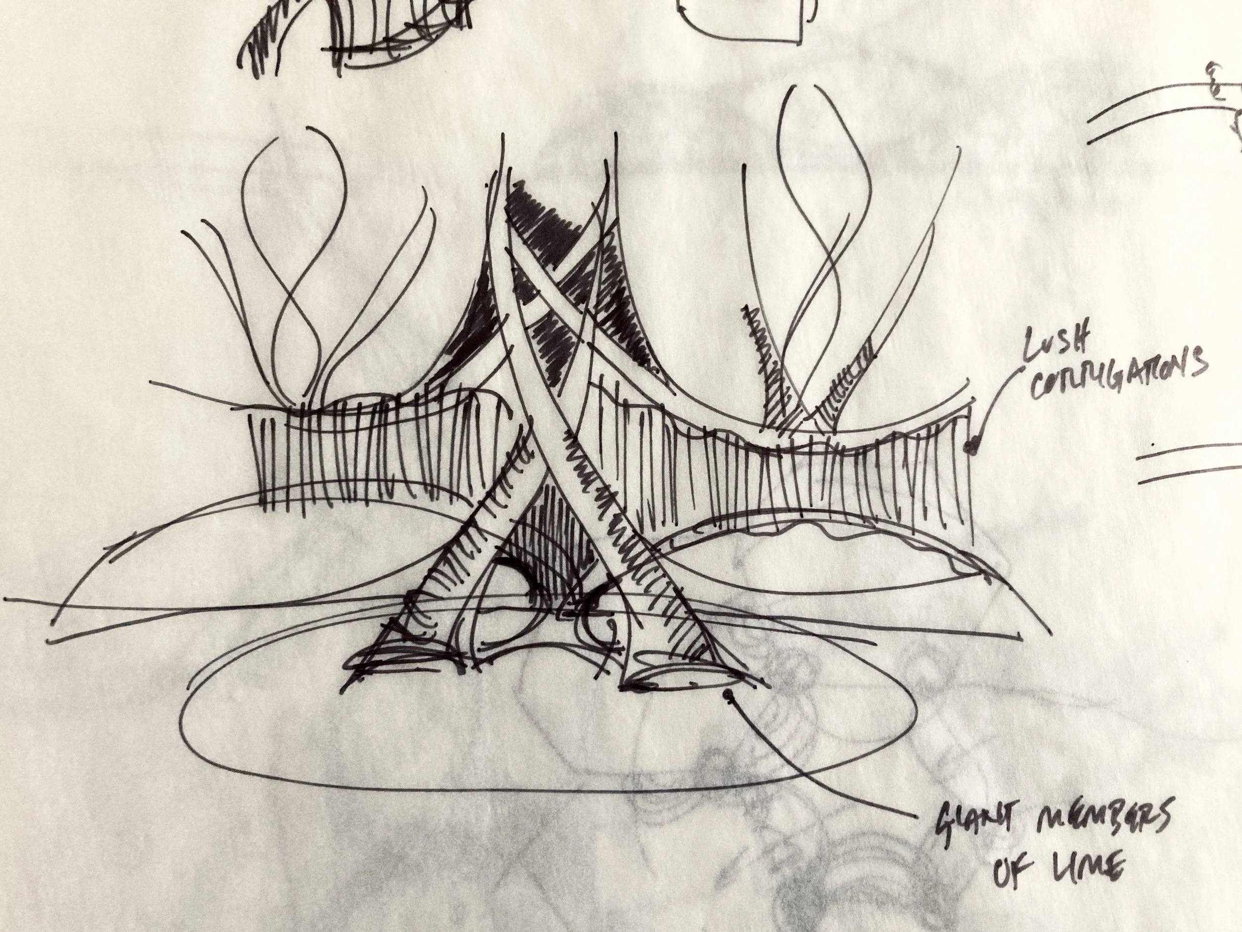 A hand-drawn sketch on paper depicting a scene with abstract shapes and lines. The drawing includes labeled elements such as 'Lust,' 'Confusions,' and 'Gigant McMorples of Lime.' The sketch appears to be an artistic or conceptual illustration with fr