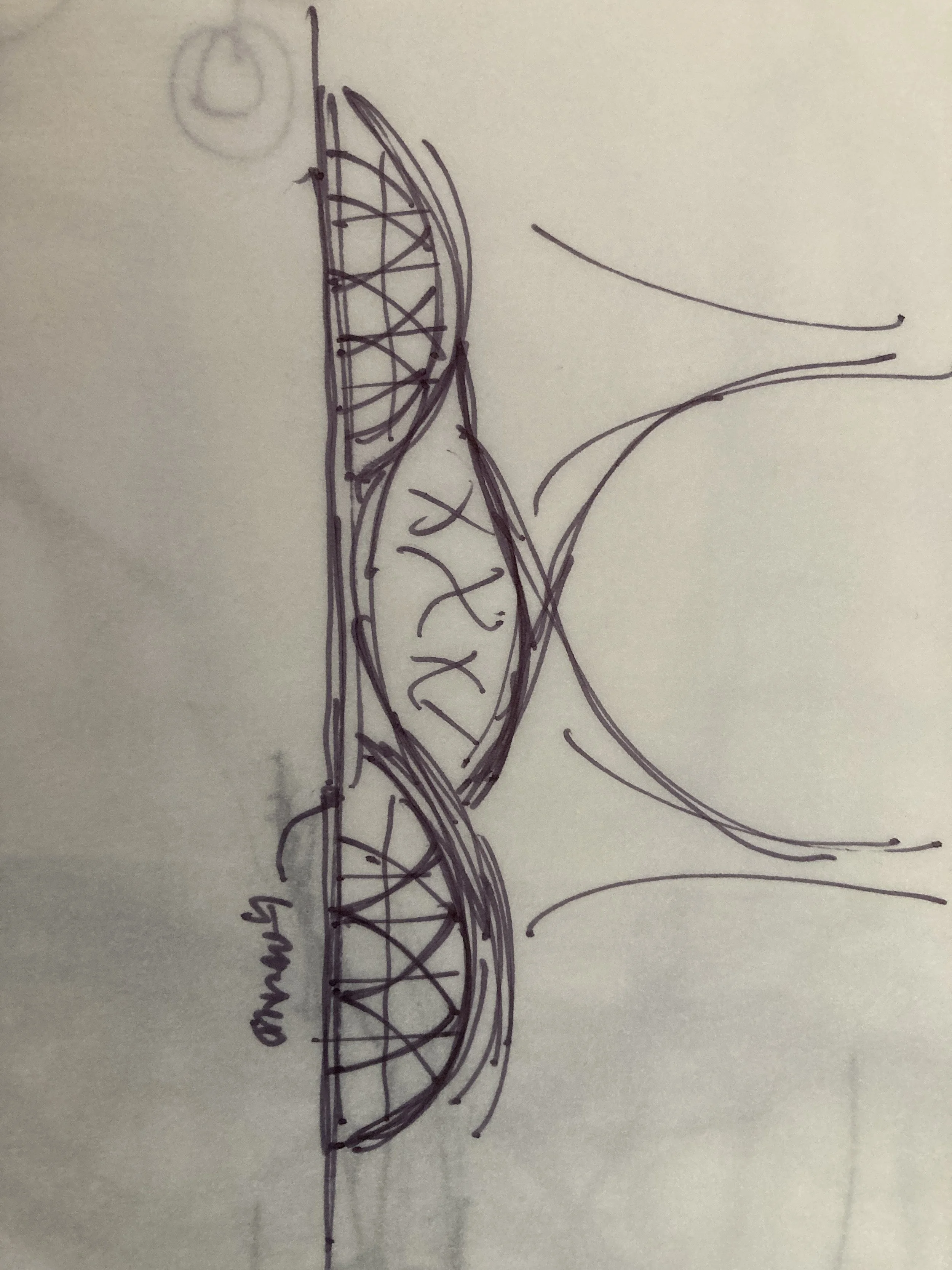 Hand-drawn architectural sketch of a gourd-shaped object with internal detailing and curved leaves around it, with handwritten notes nearby.