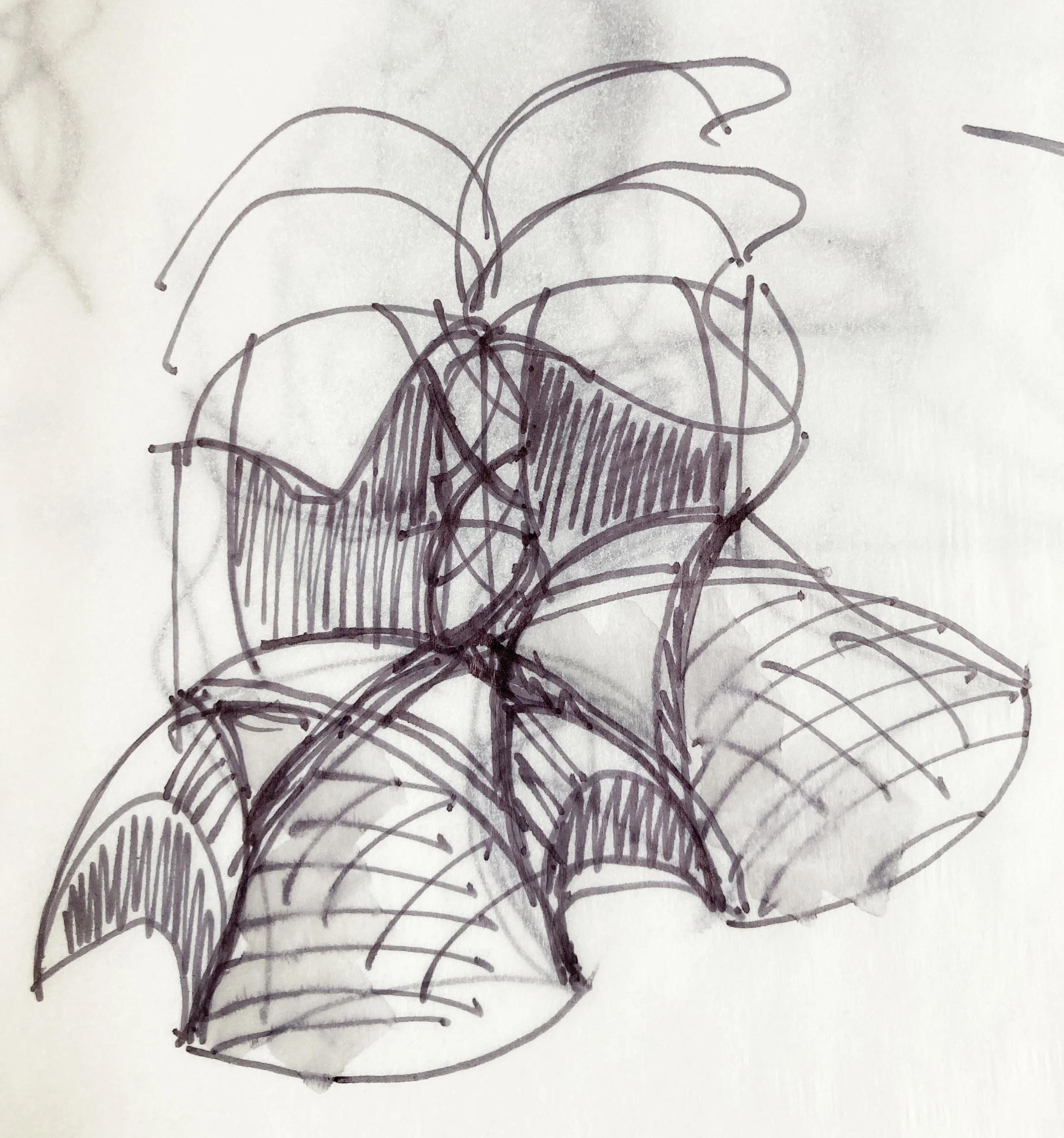 A hand-drawn architectural sketch of a heart shape at the bottom with multiple arcs above it, resembling a rainbow or abstract shapes, all drawn with a black ink on white paper.