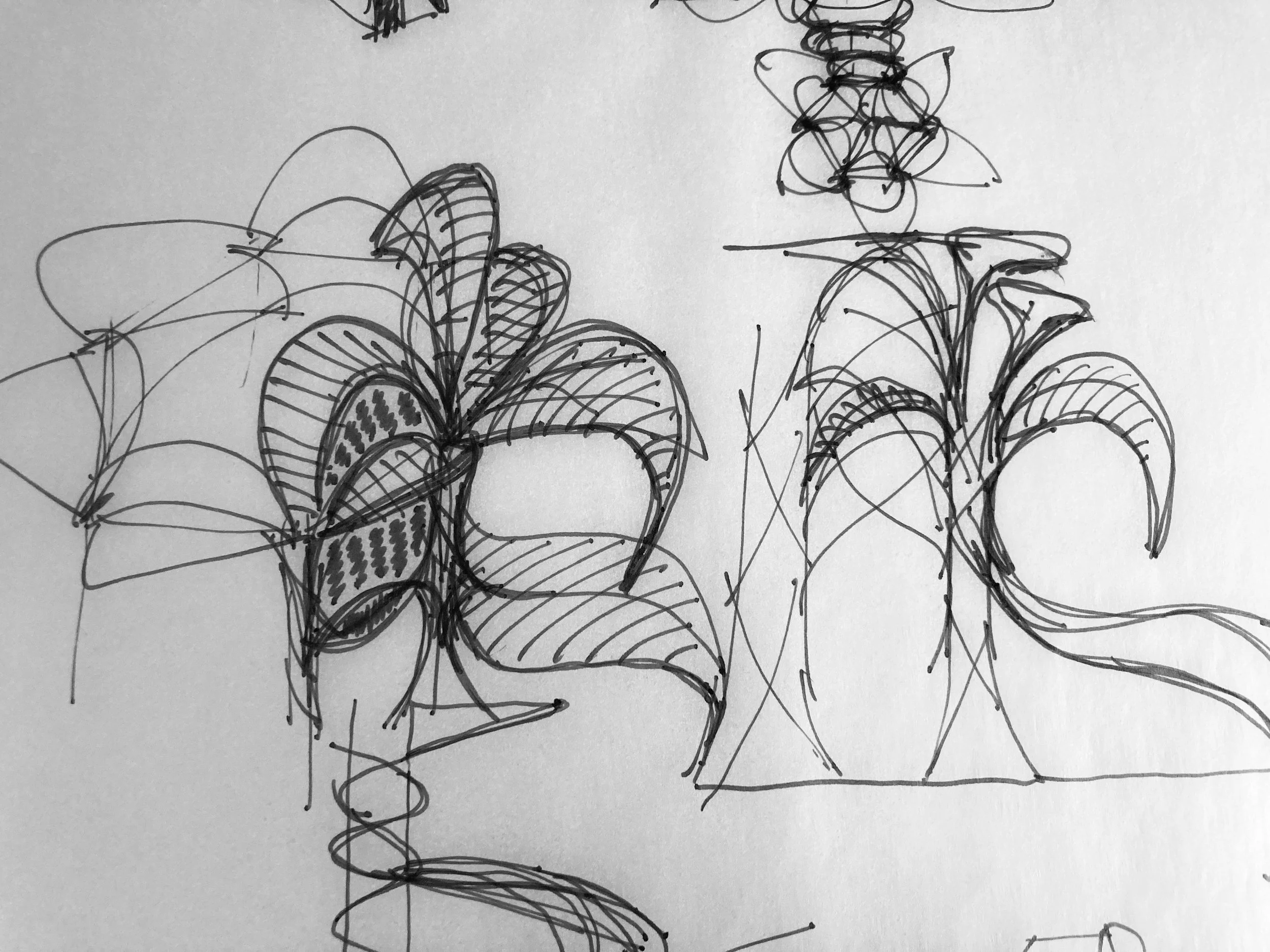 A hand-drawn architectural sketch resembling flowers and leaves, with detailed petal and leaf patterns, created with pen on paper.