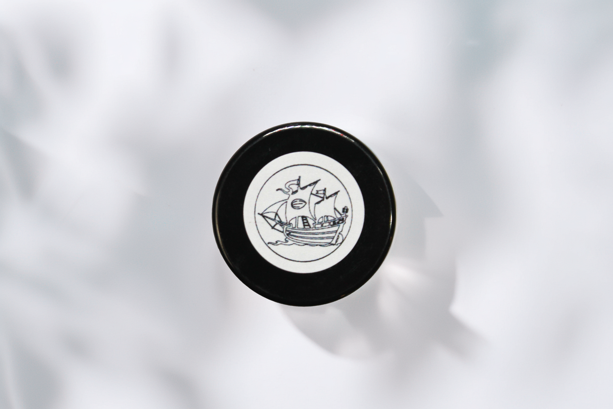 Logo Top.PNG