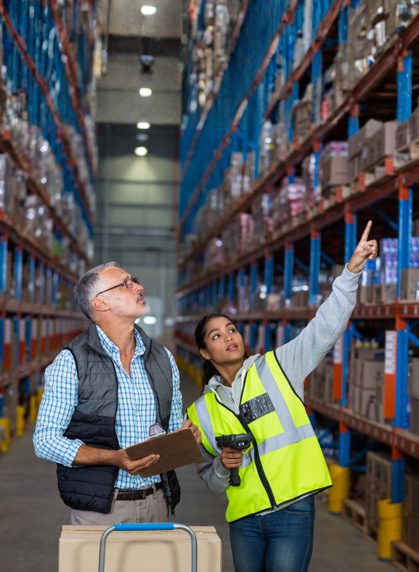 experiencia fws em logistica
