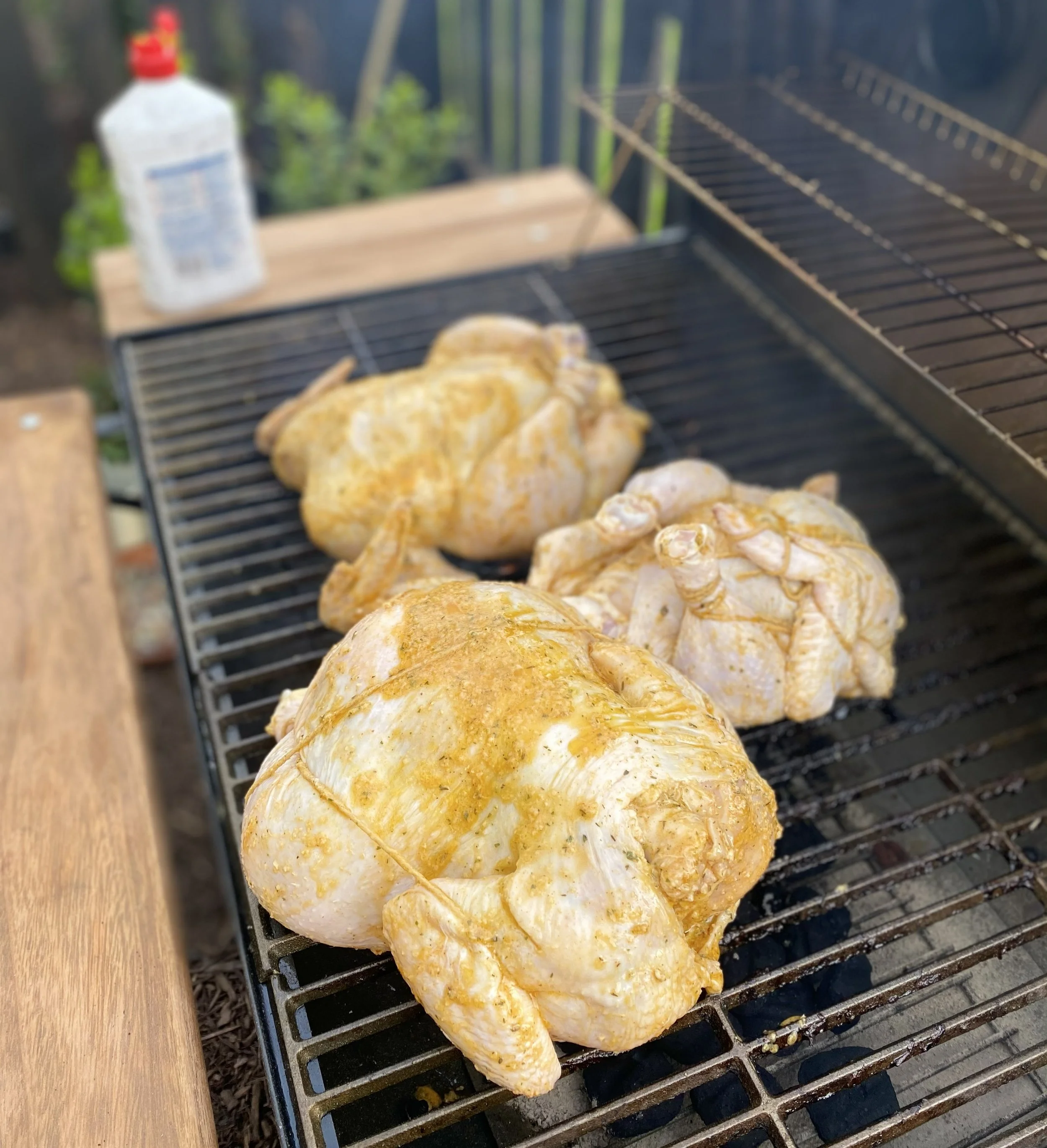 Uncooked Grilled Chicken.jpg