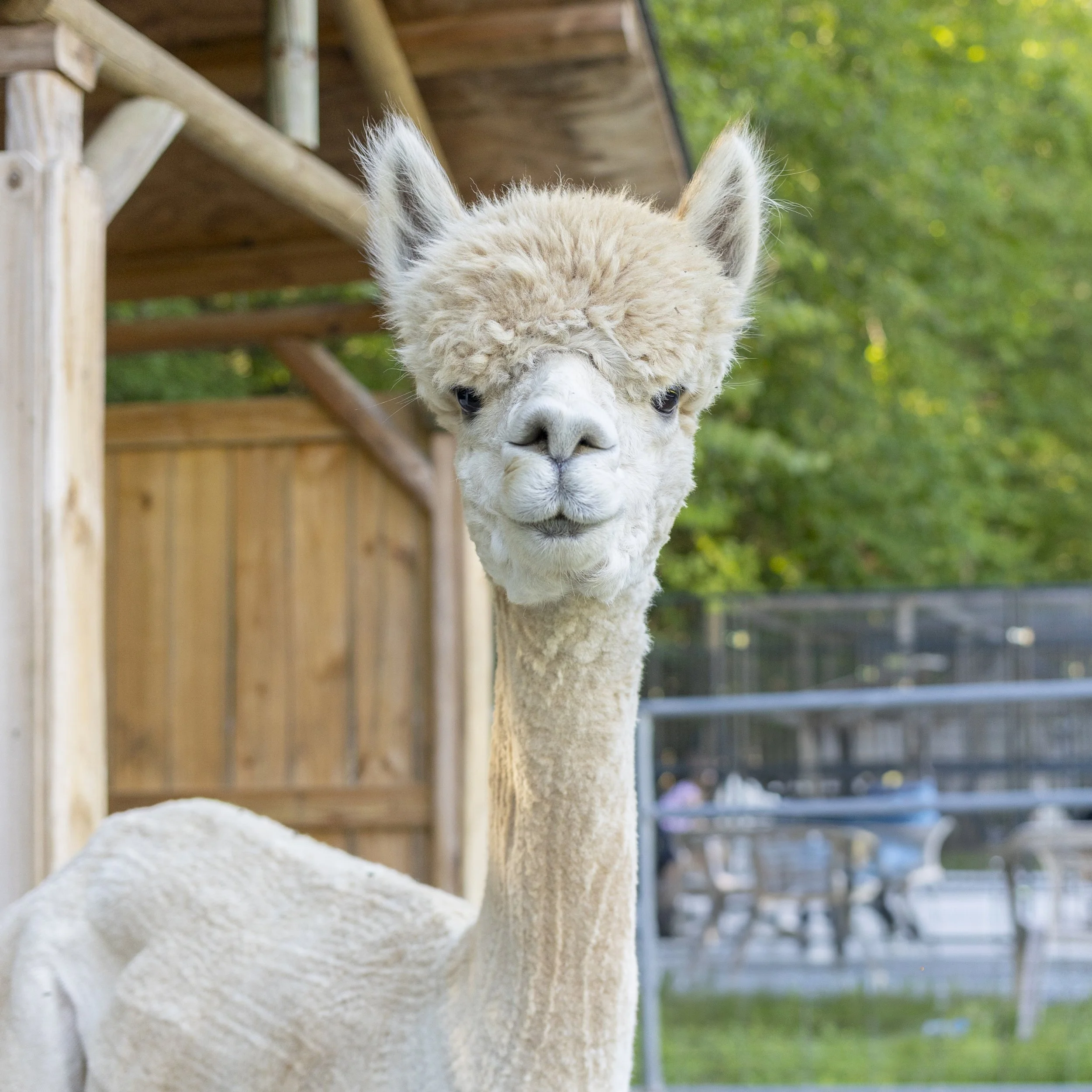 CR Photo_farm_8M4A9981 copy.jpg